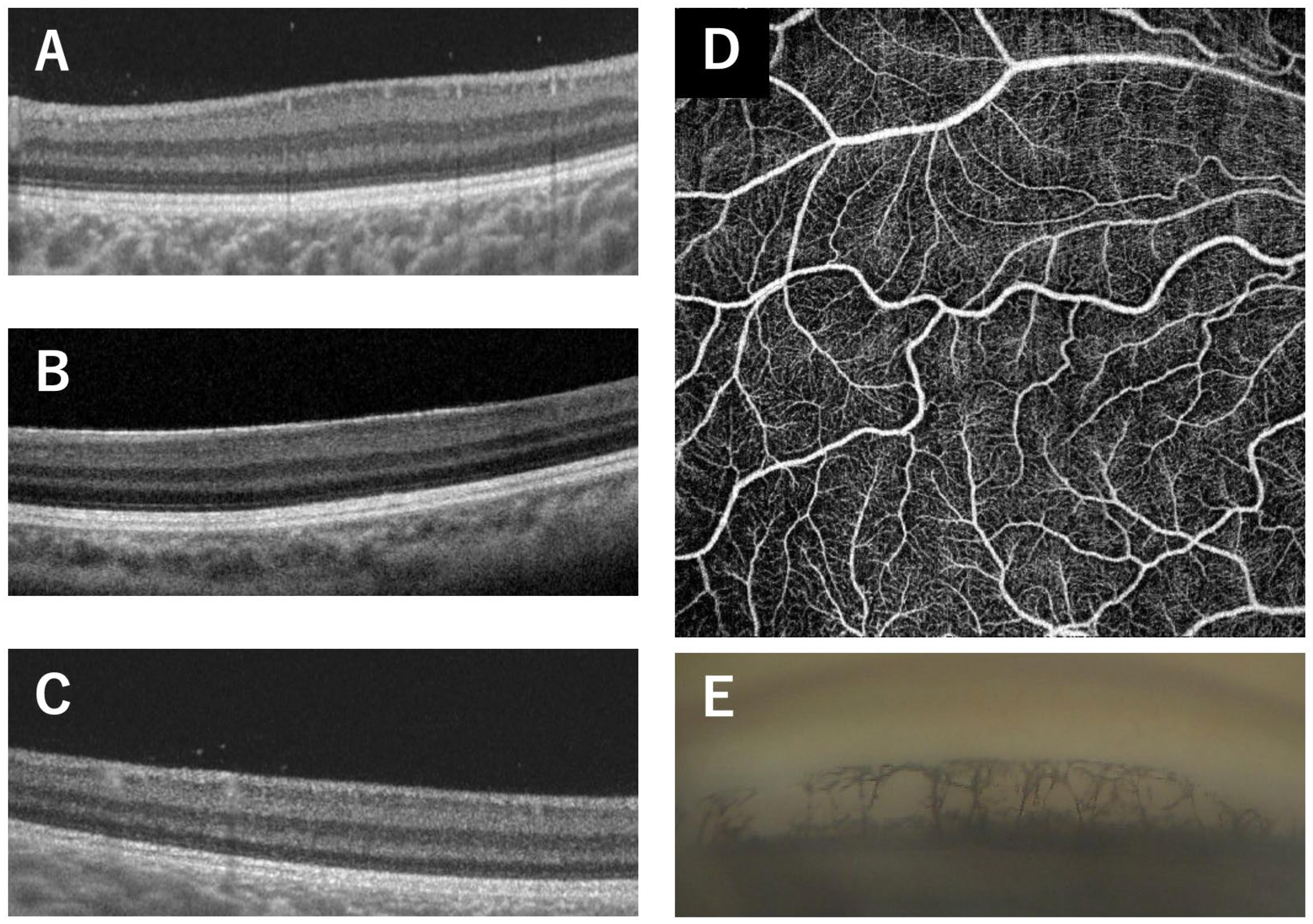 Genes 14 01483 g002 Genes 14 01483 g002