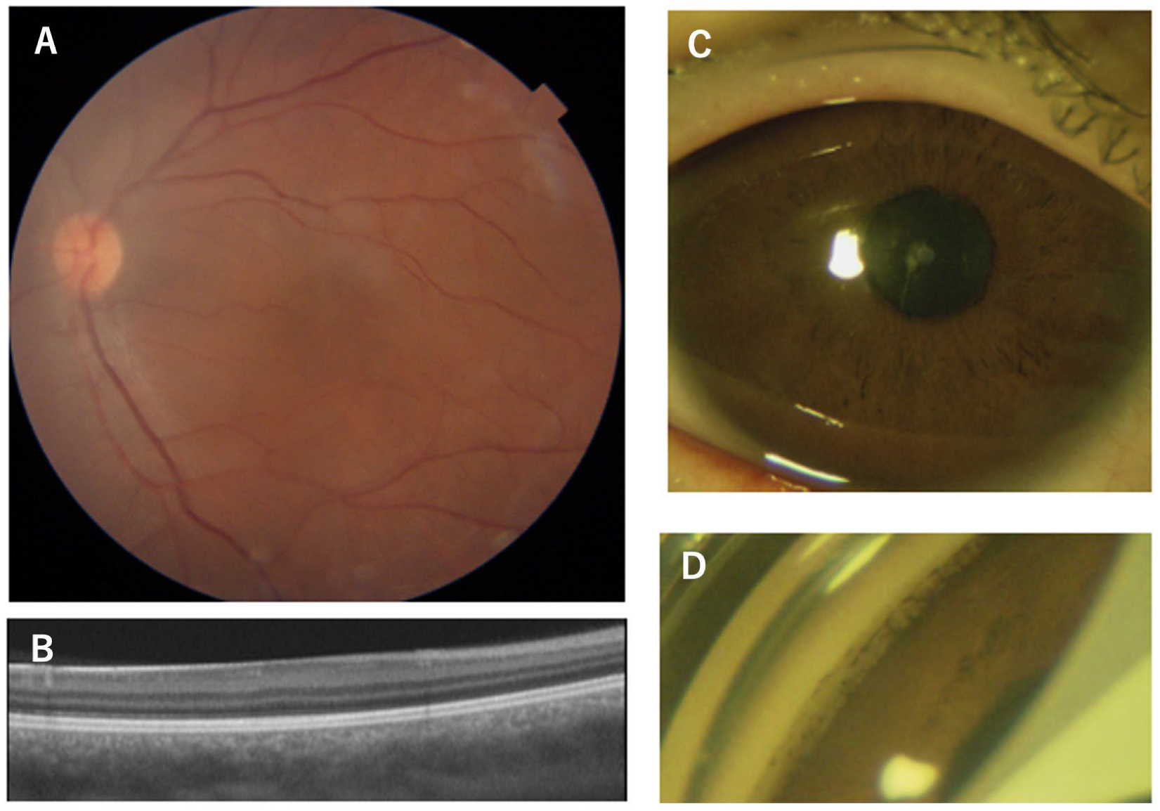 Genes 14 01483 g003 Genes 14 01483 g003