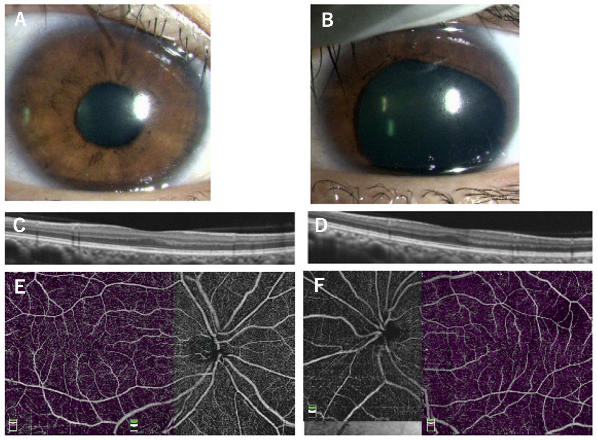 Genes 14 01483 g004 Genes 14 01483 g004