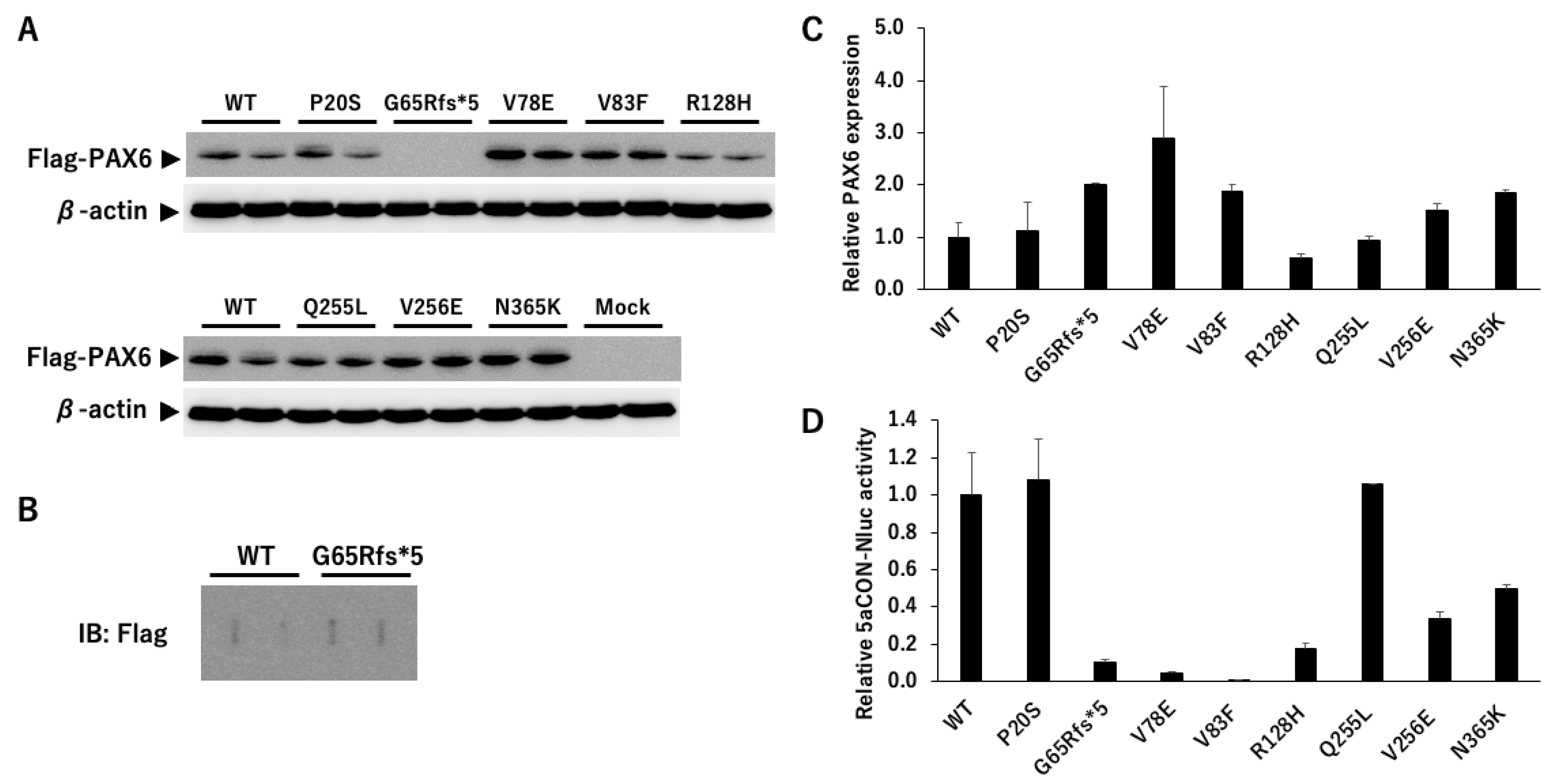 Genes 14 01483 g006 Genes 14 01483 g006