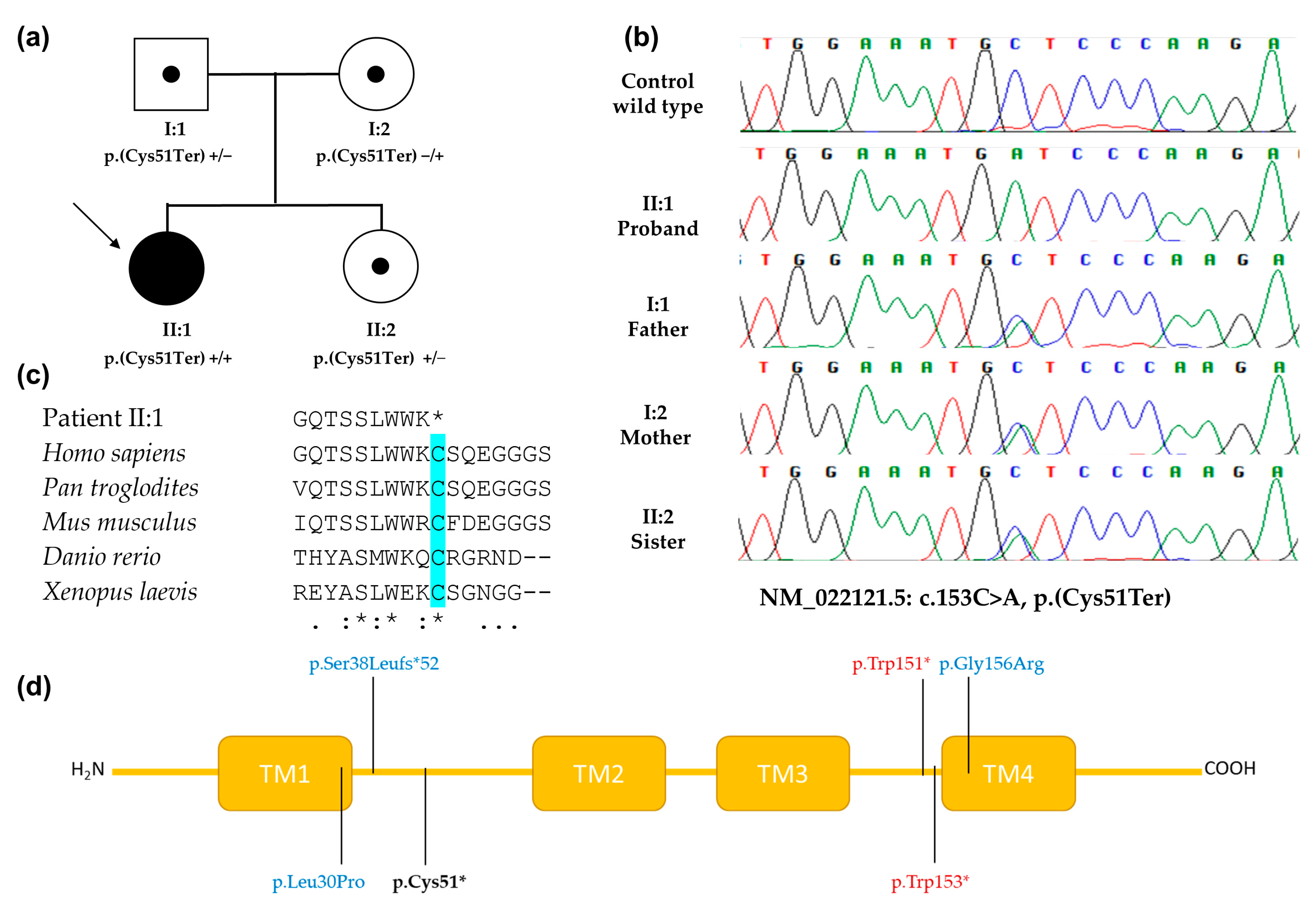 Genes 14 01494 g002