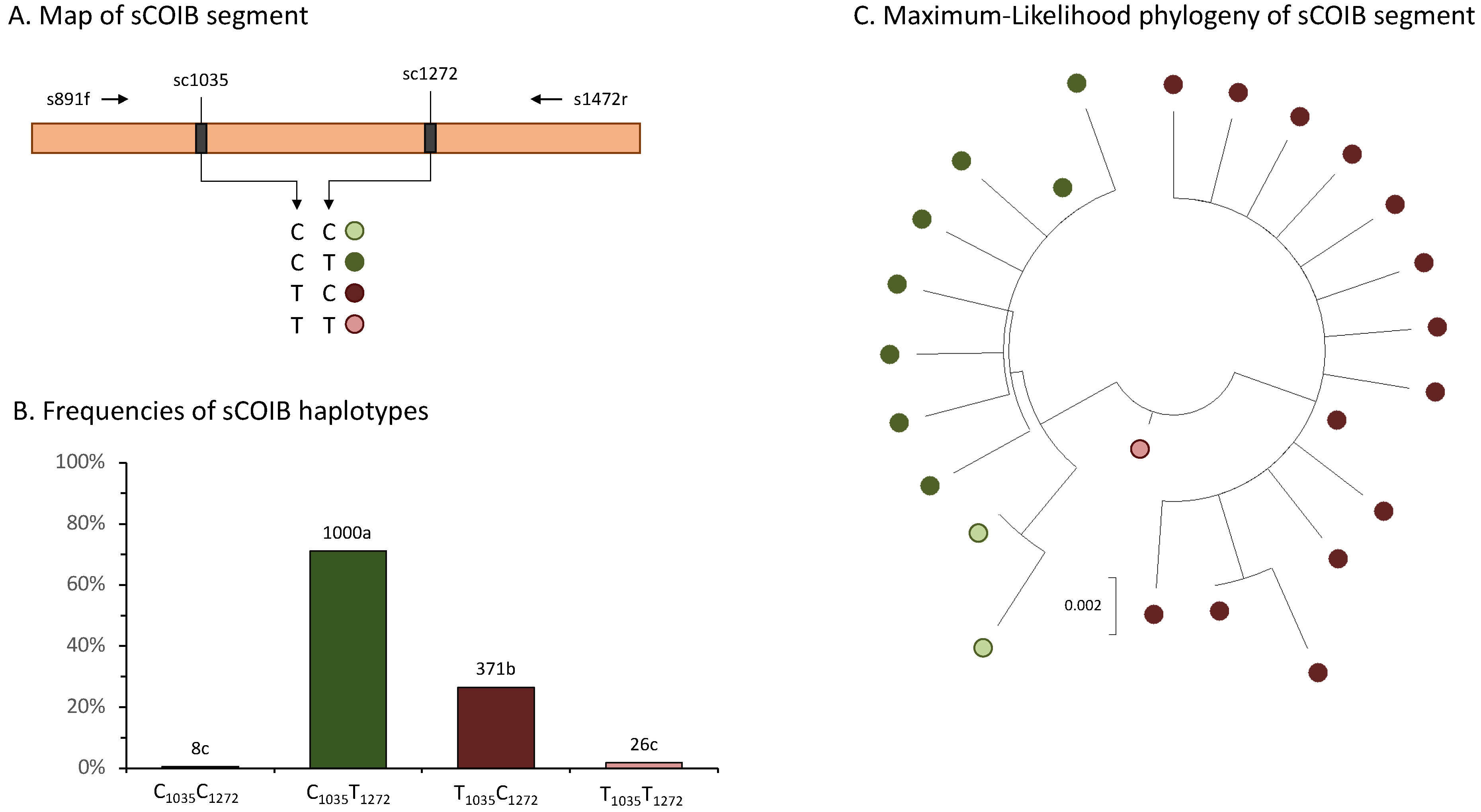 Genes 14 01495 g003 Genes 14 01495 g003