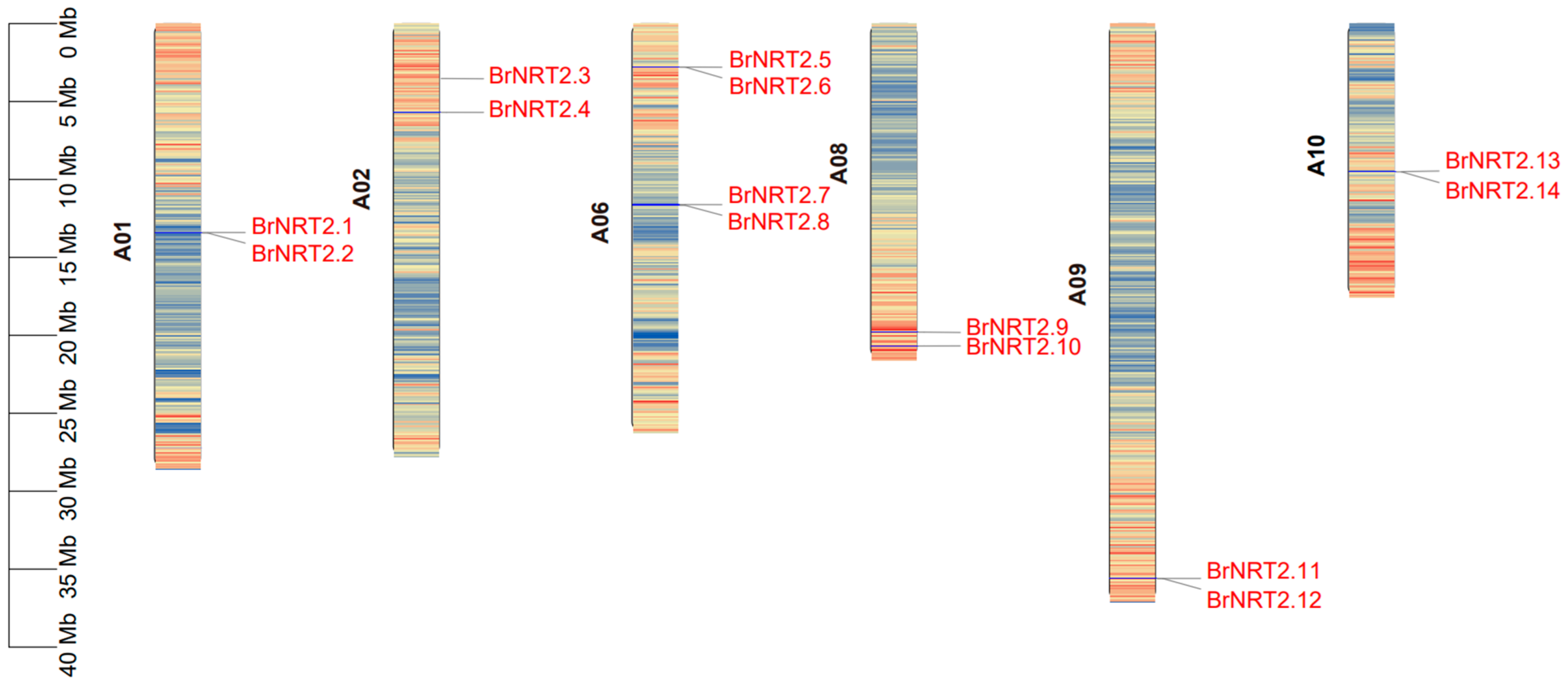 Genes 14 01564 g001