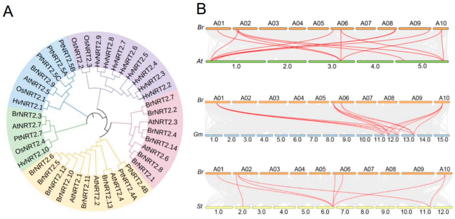 Genes 14 01564 g002