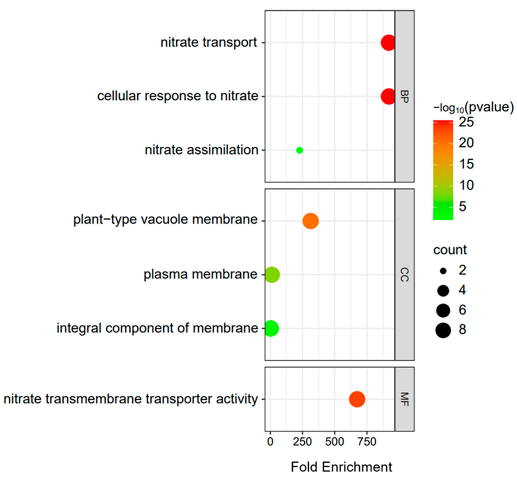Genes 14 01564 g005