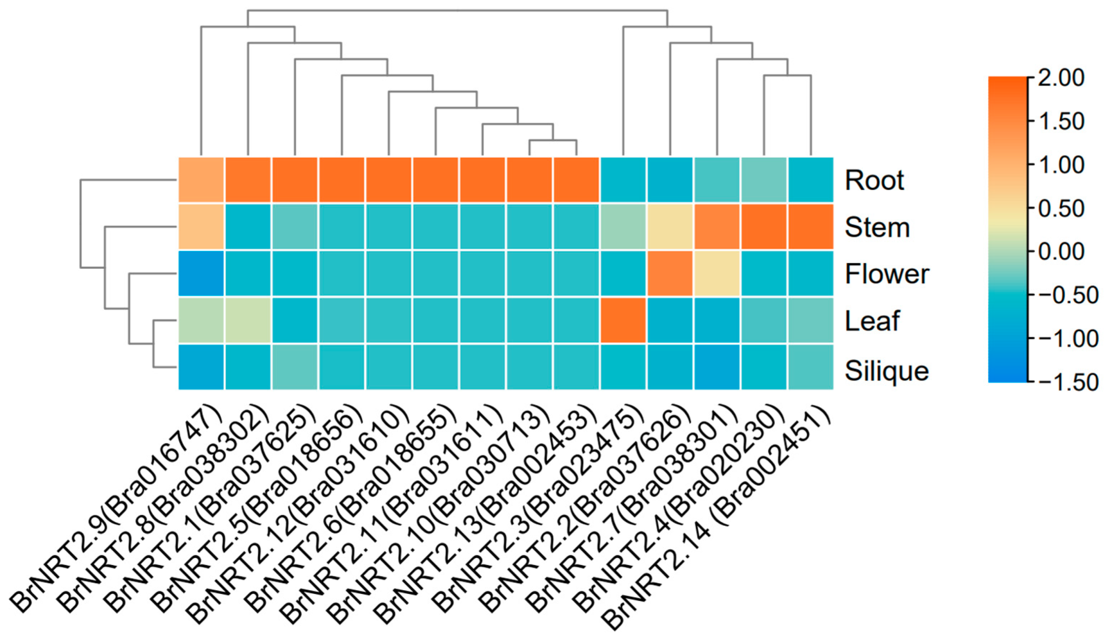 Genes 14 01564 g006