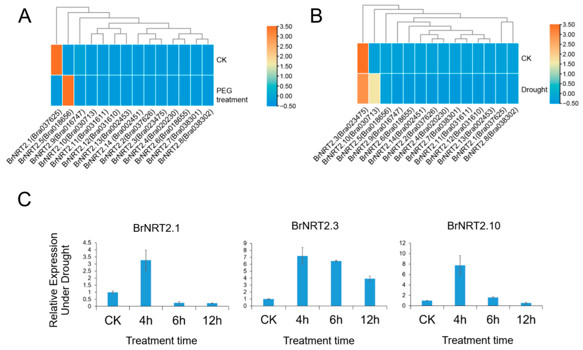 Genes 14 01564 g007
