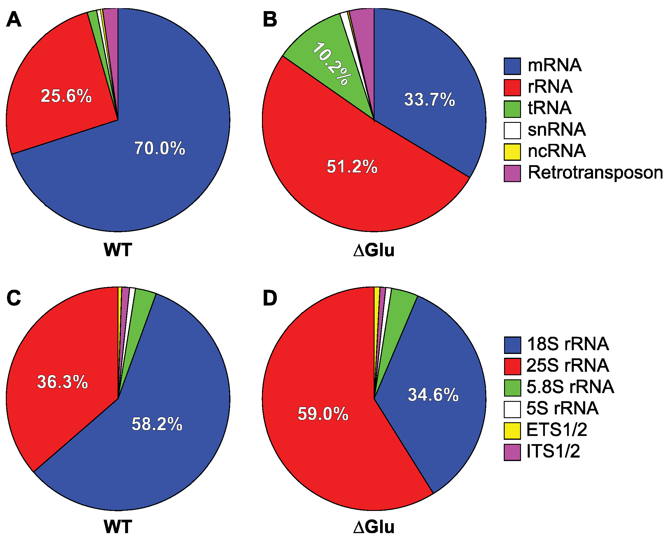 Genes 14 01566 g002