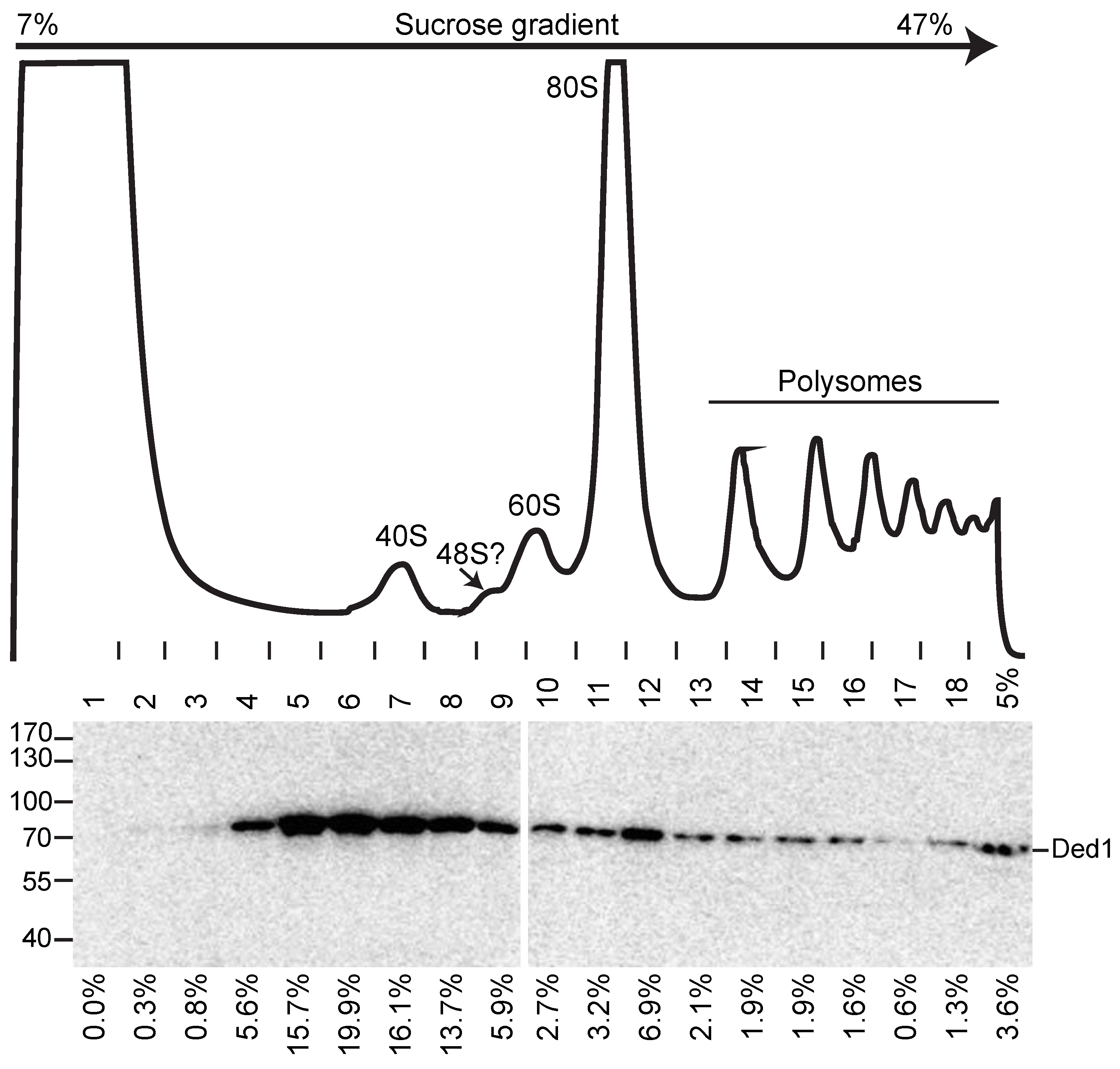 Genes 14 01566 g007