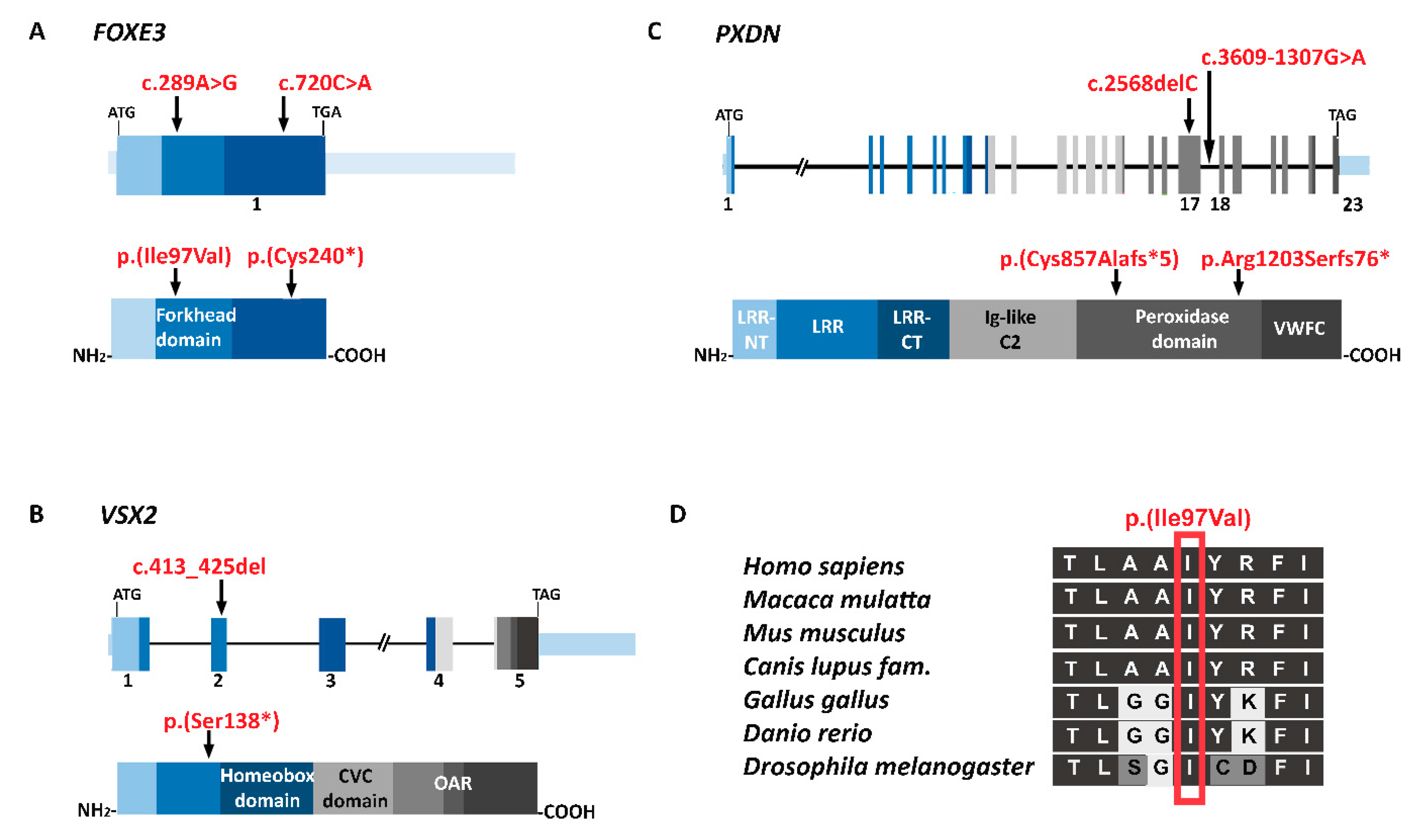 Genes 14 01573 g003
