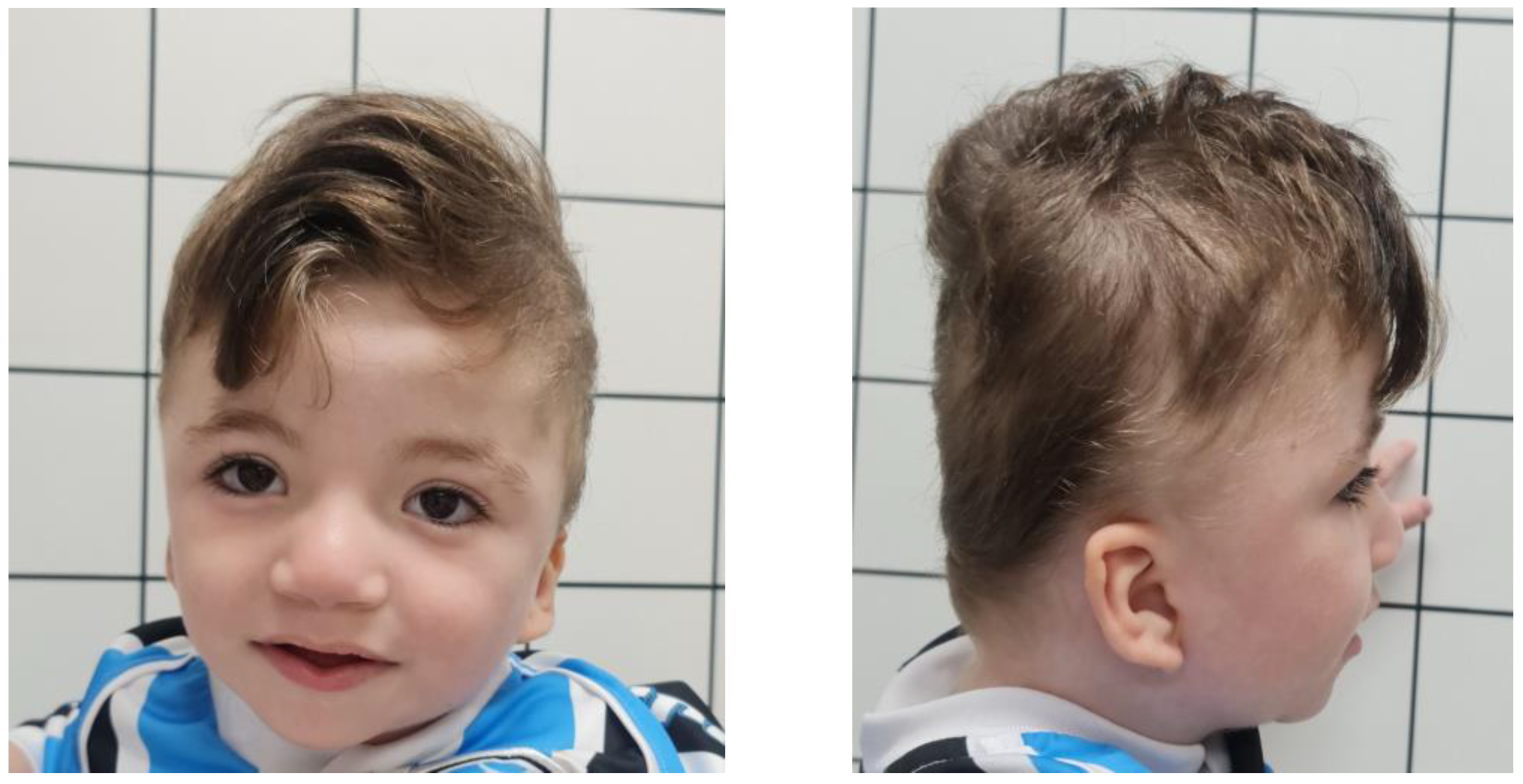 Genes 14 01583 g001 Genes 14 01583 g001