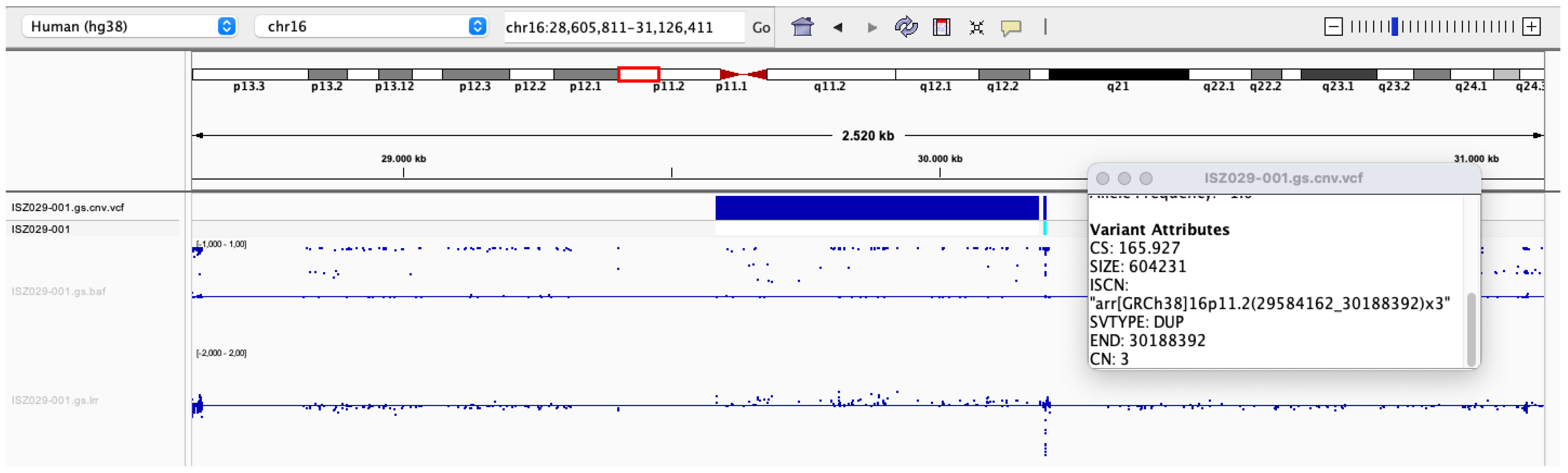 Genes 14 01583 g002 Genes 14 01583 g002