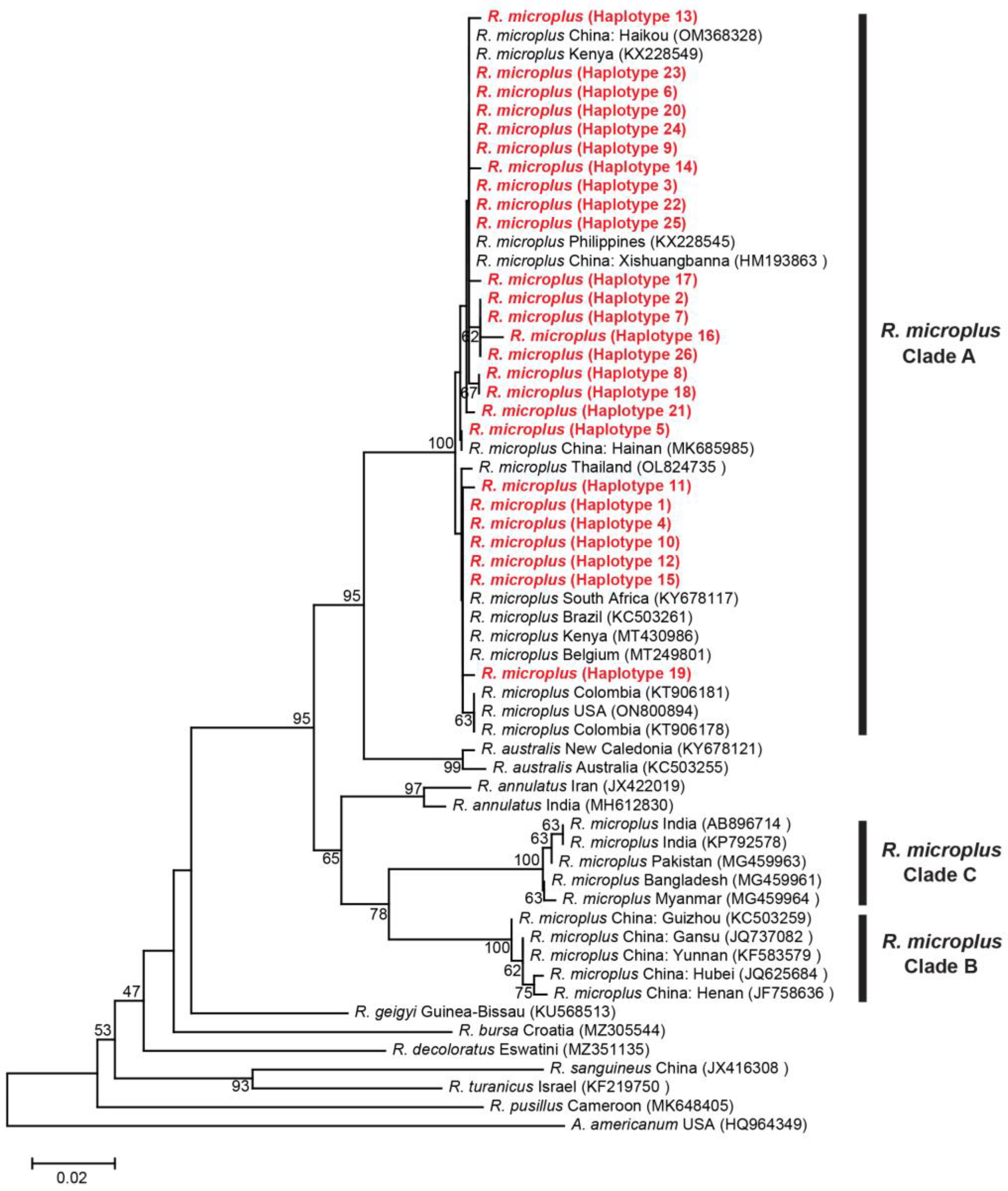 Genes 14 01592 g003