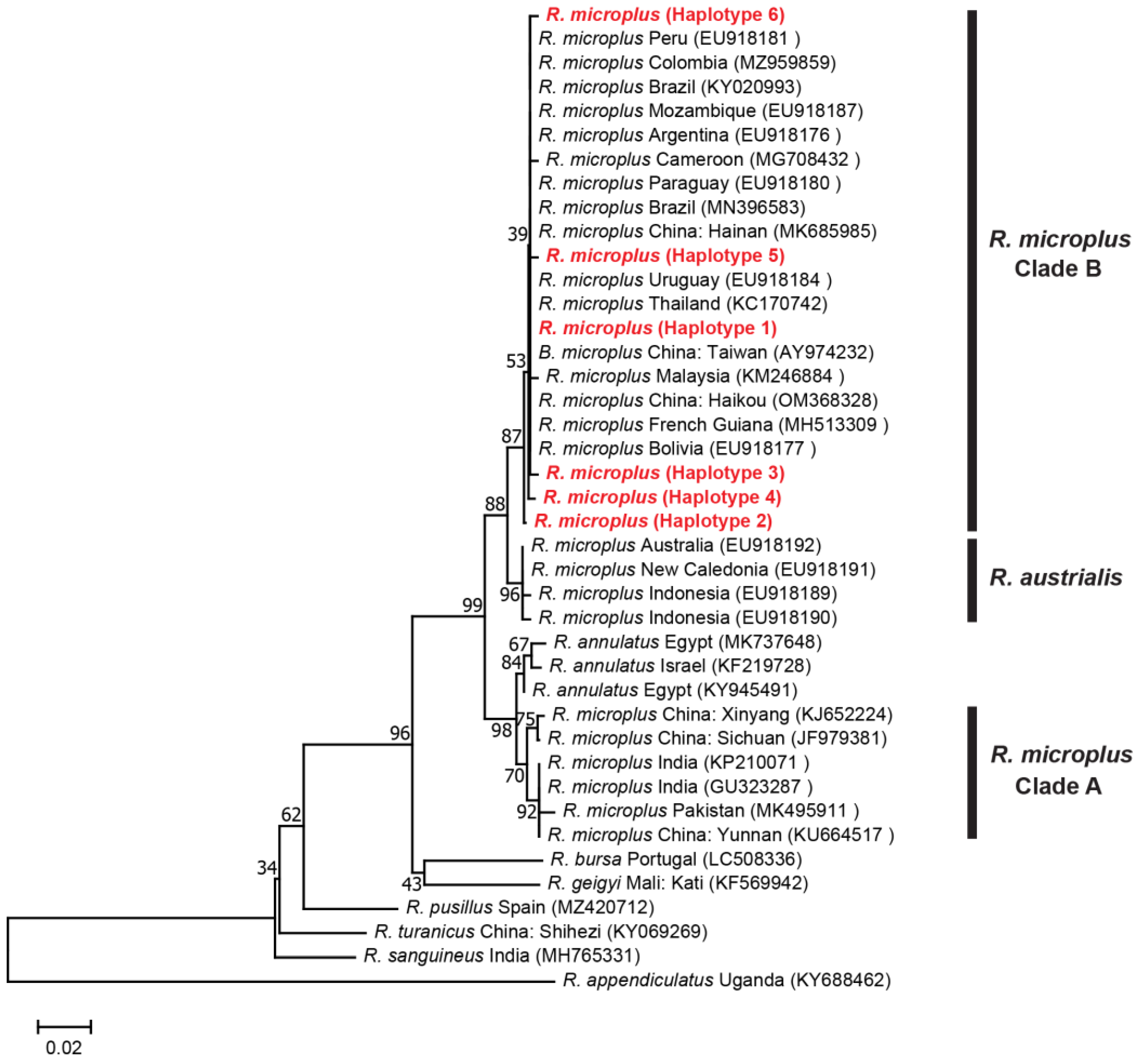 Genes 14 01592 g004