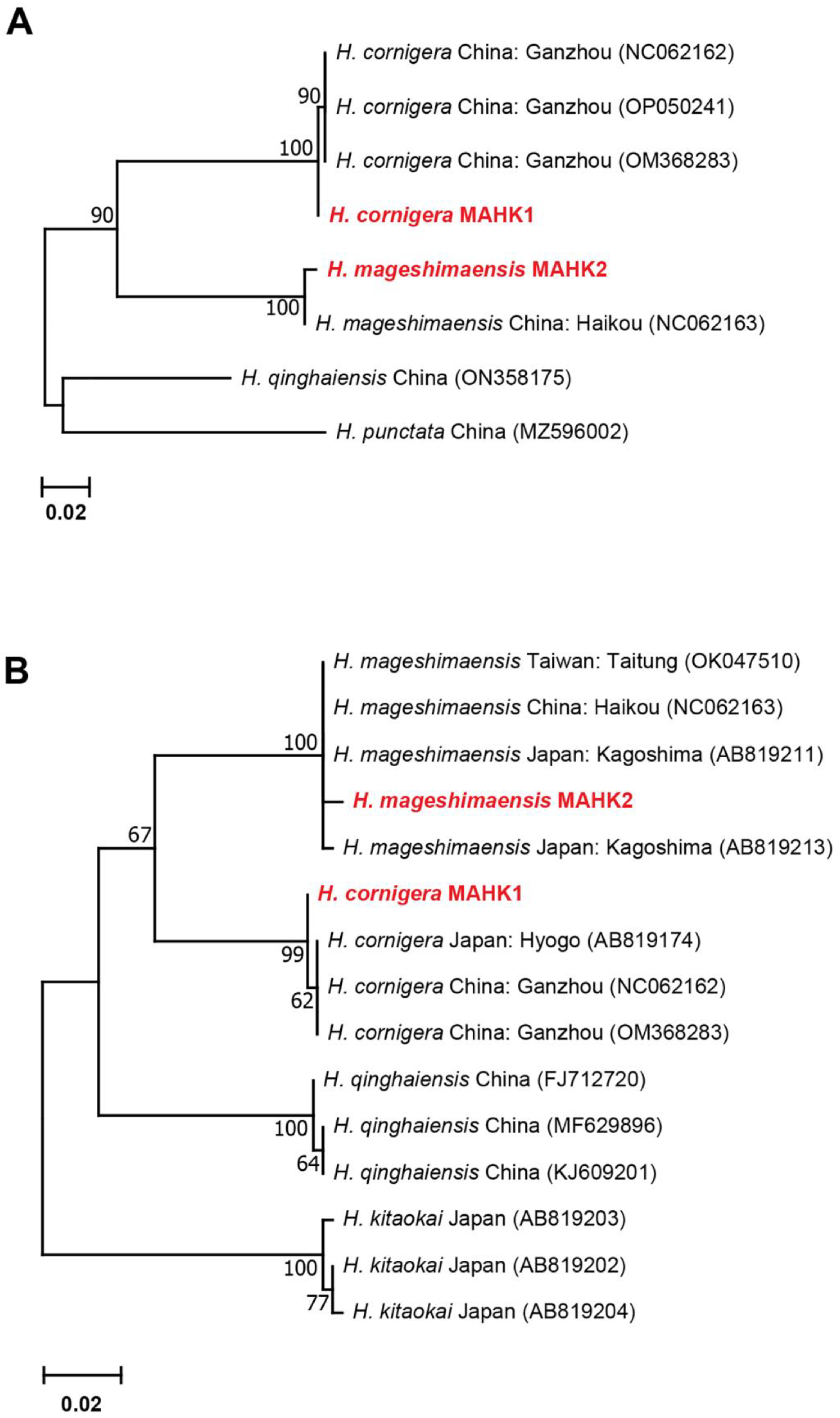 Genes 14 01592 g007