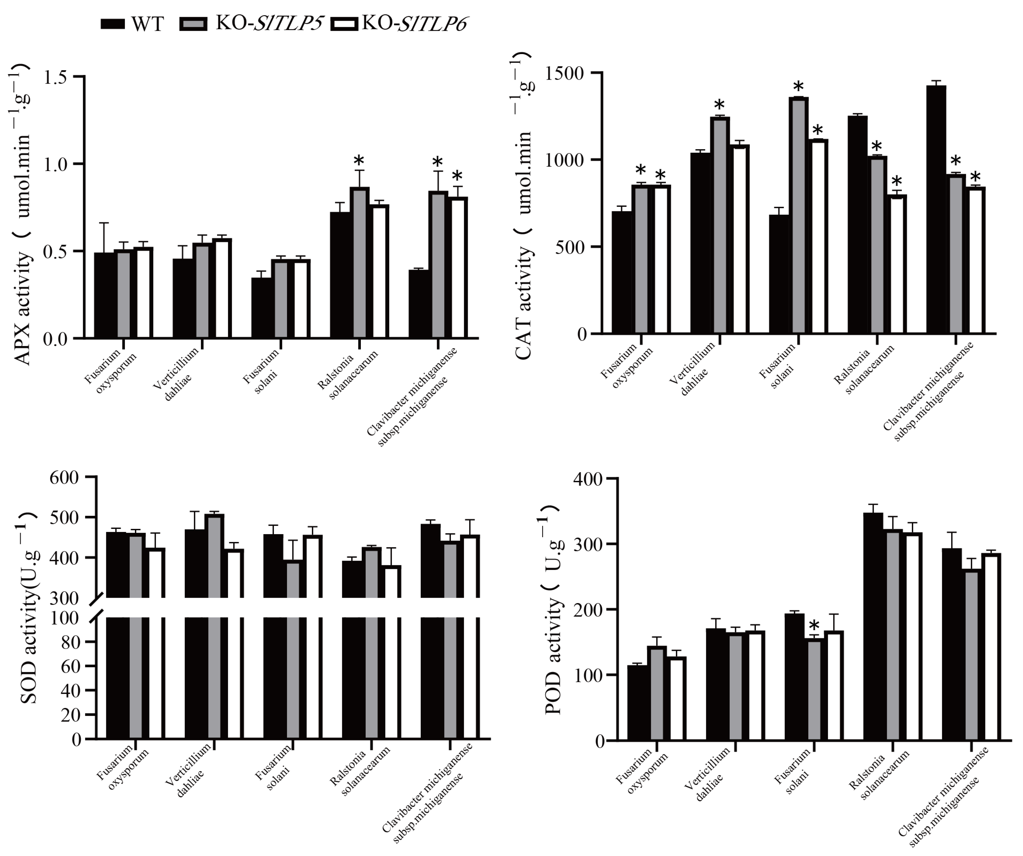 Genes 14 01622 g007 Genes 14 01622 g007