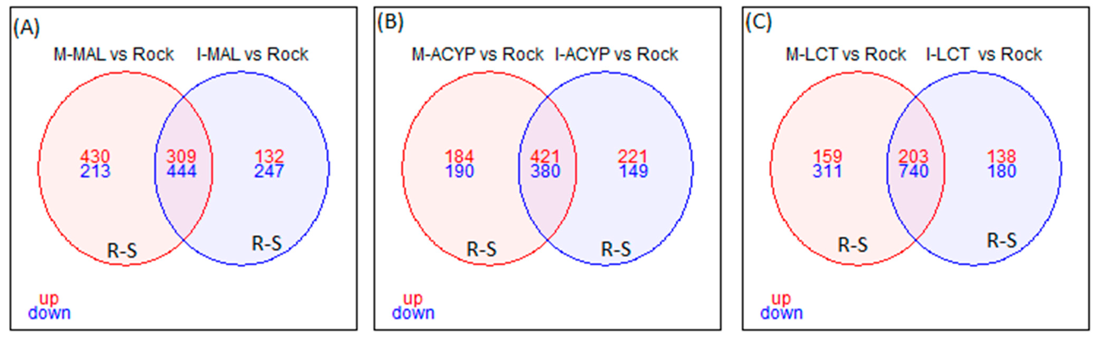 Genes 14 01626 g003 Genes 14 01626 g003