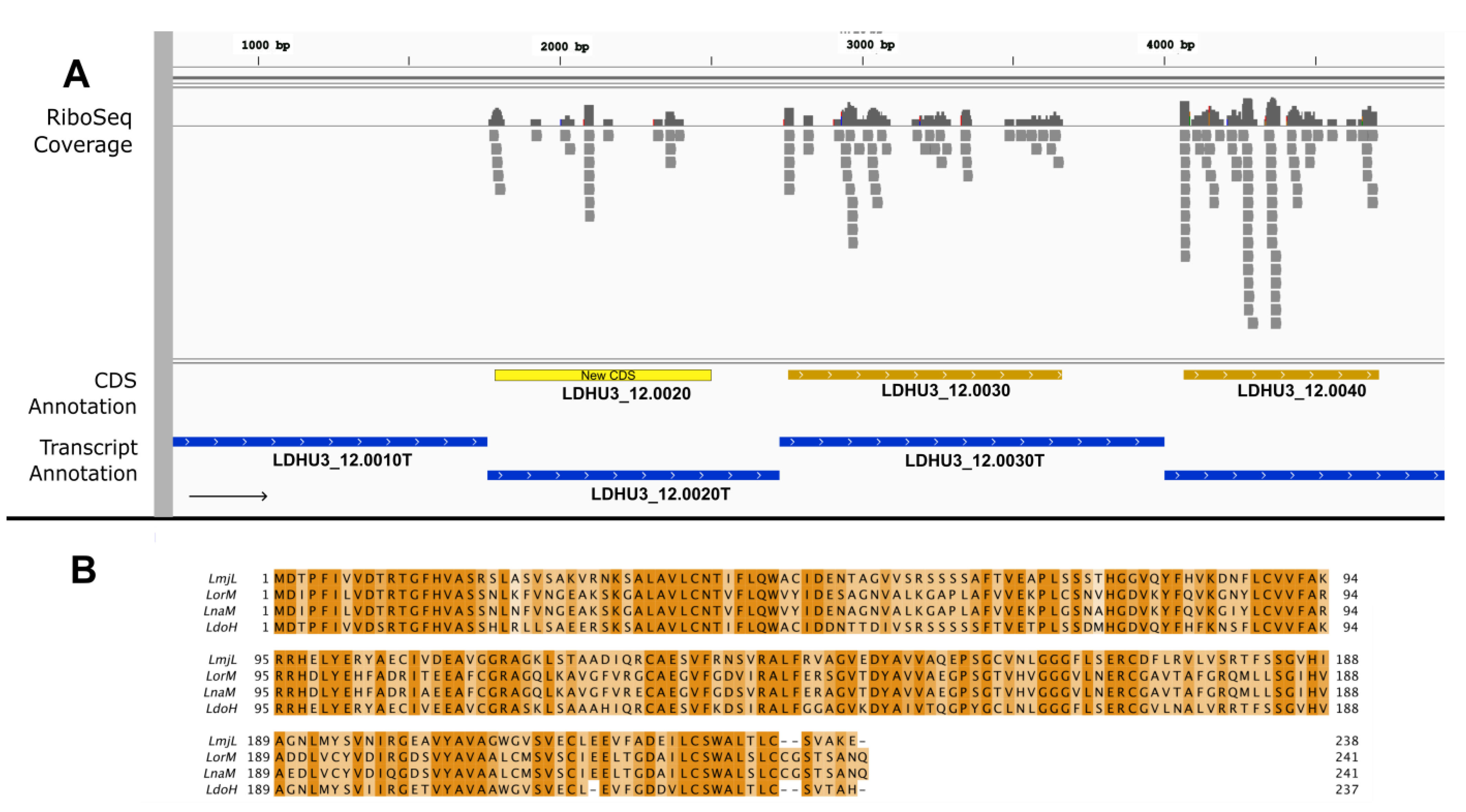 Genes 14 01637 g002 Genes 14 01637 g002