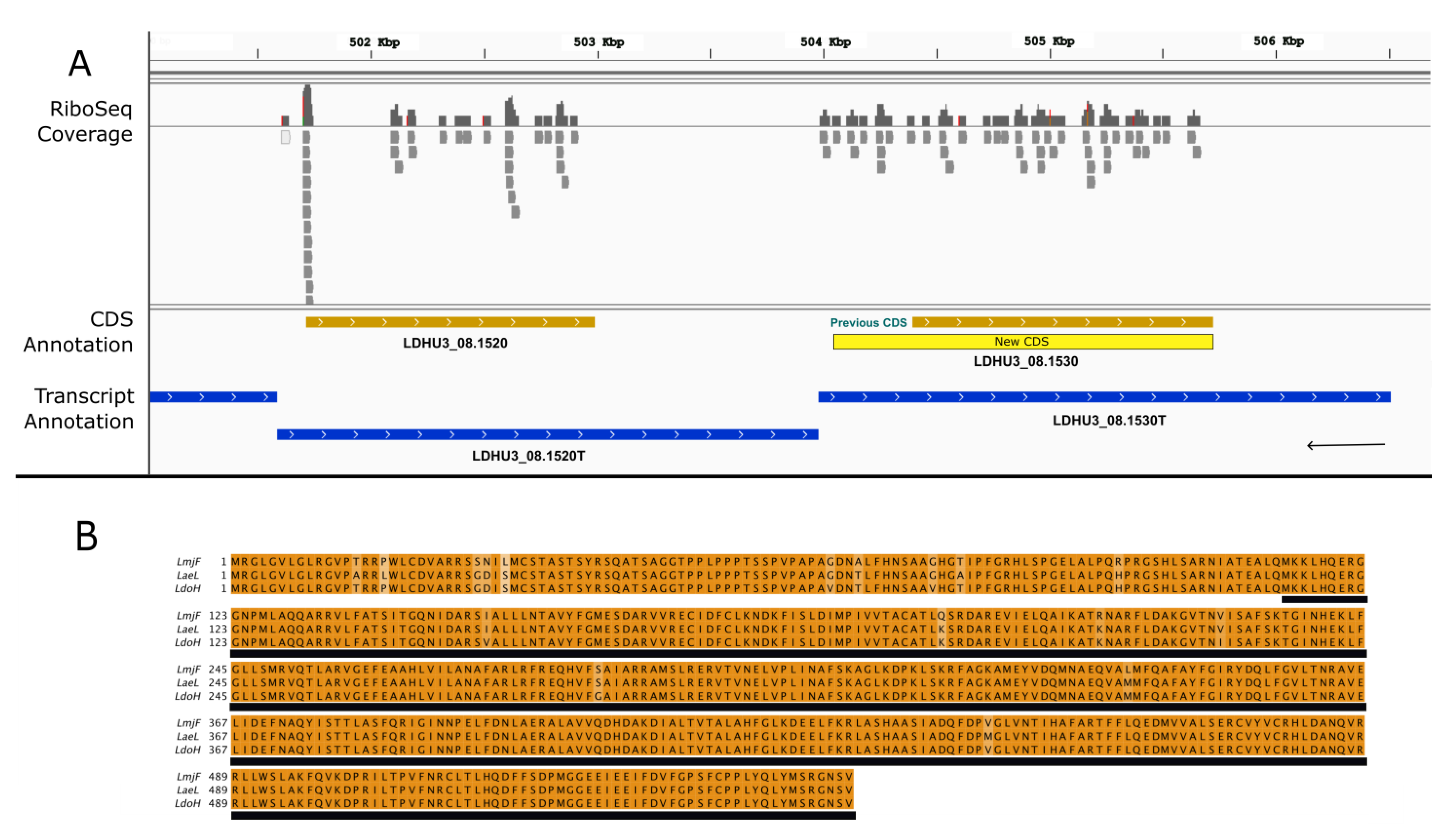 Genes 14 01637 g004 Genes 14 01637 g004