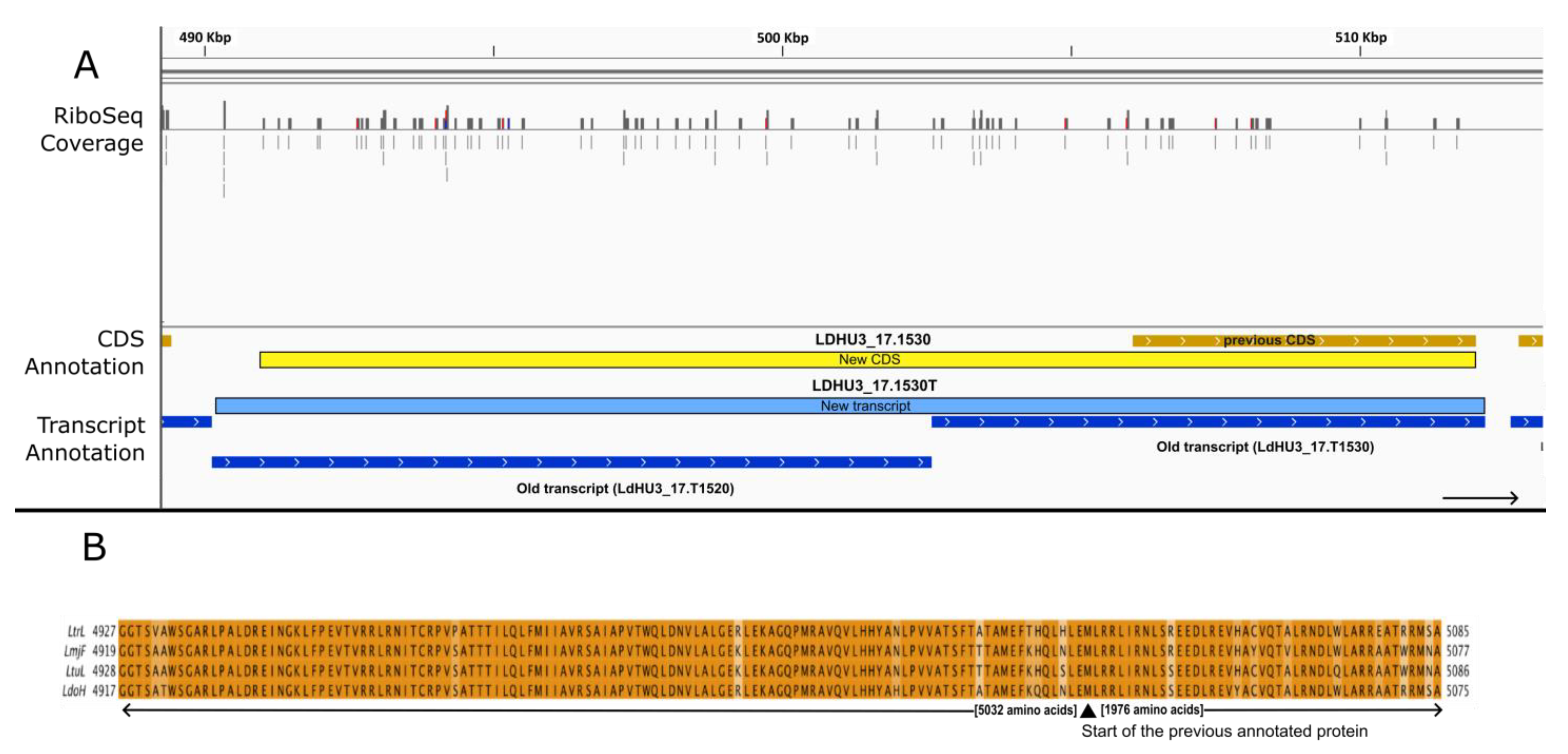 Genes 14 01637 g006 Genes 14 01637 g006