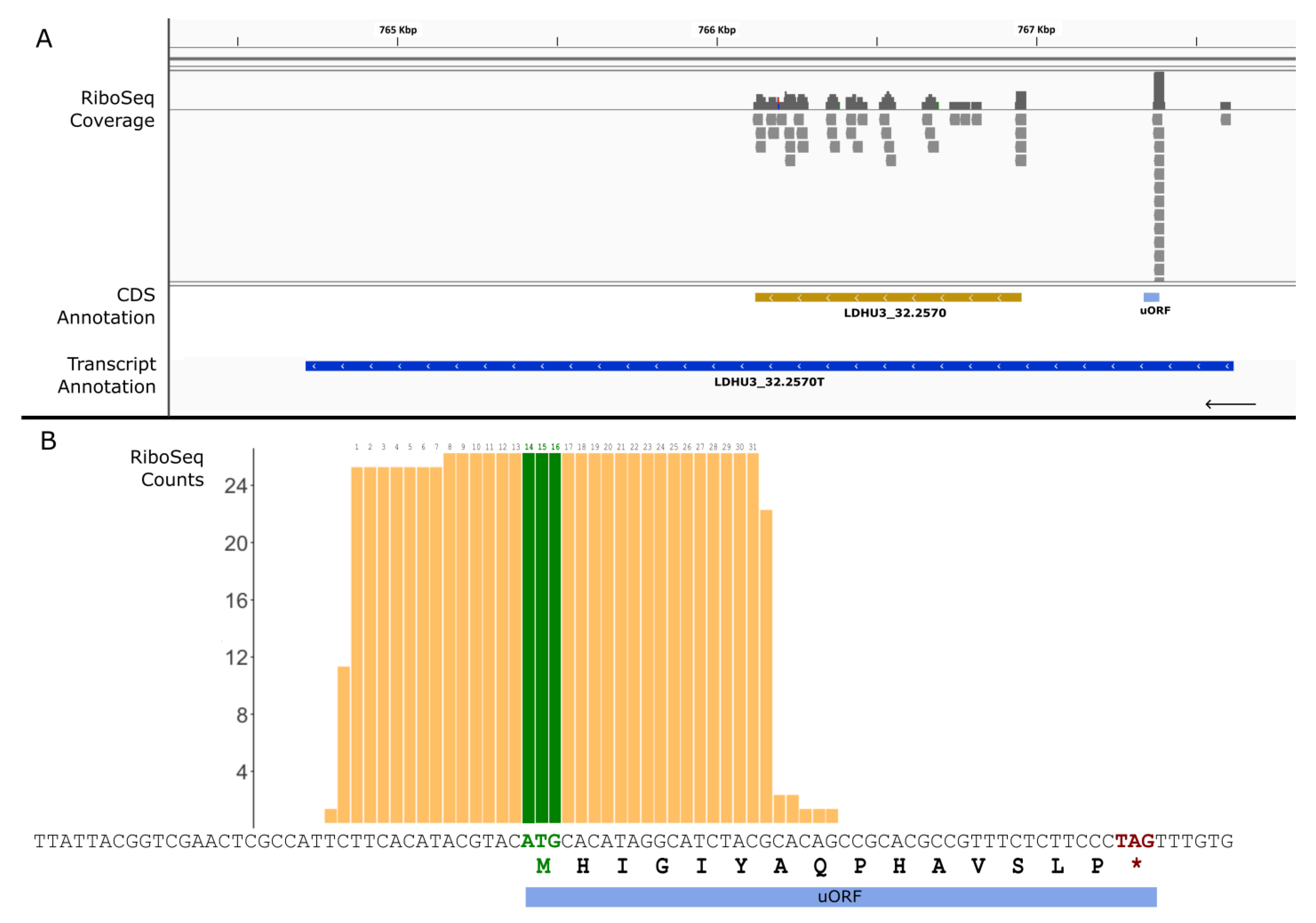 Genes 14 01637 g007 Genes 14 01637 g007