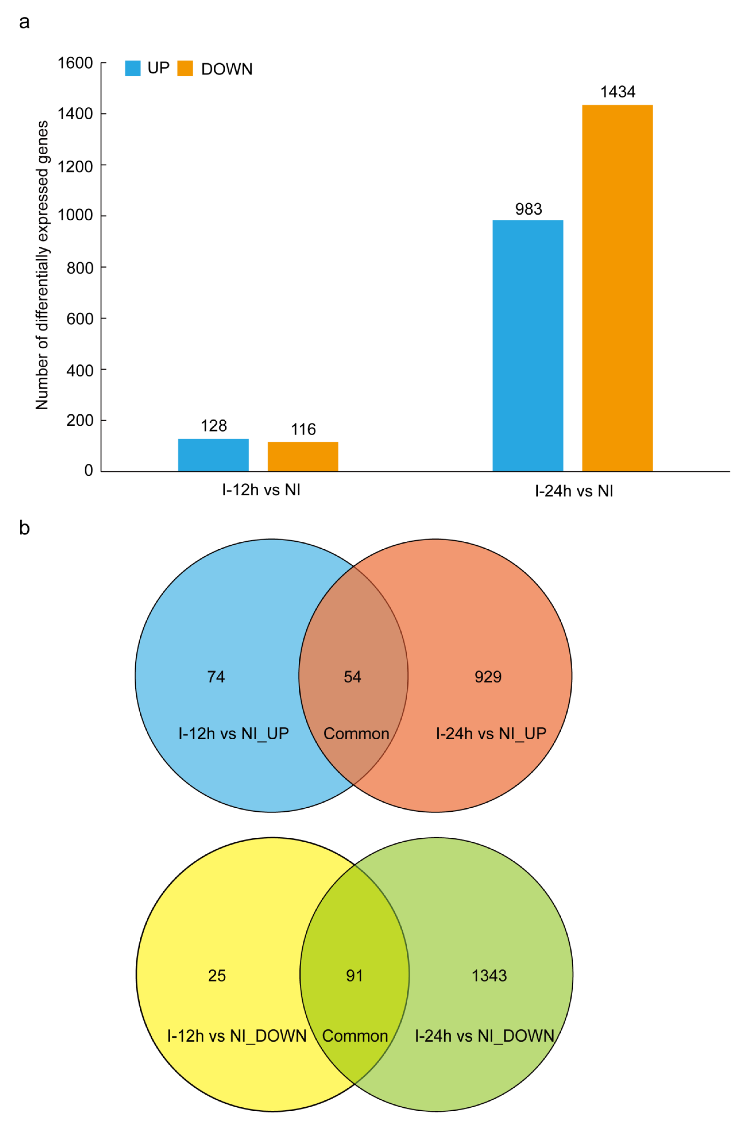 Genes 14 01640 g001