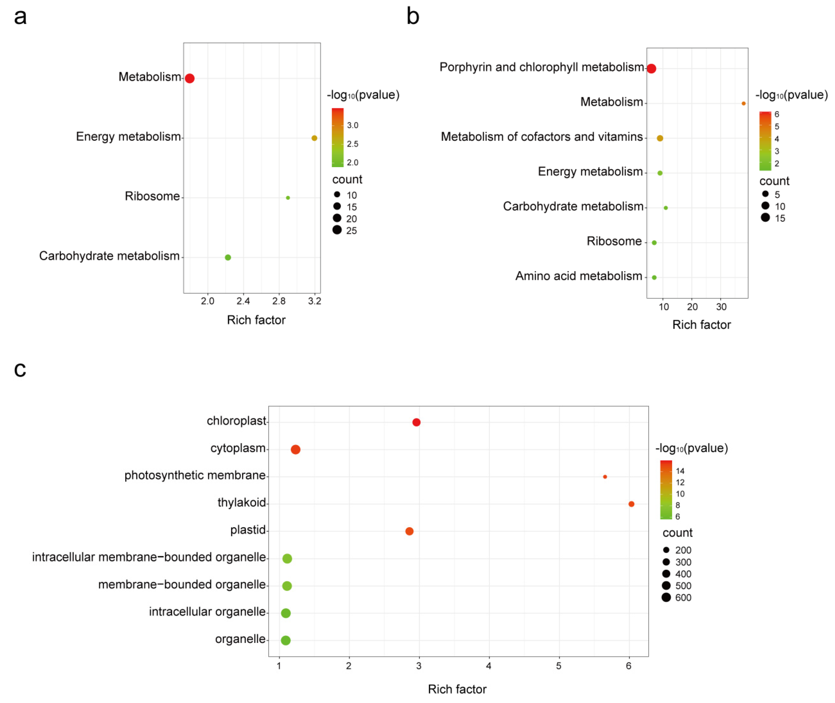 Genes 14 01640 g004