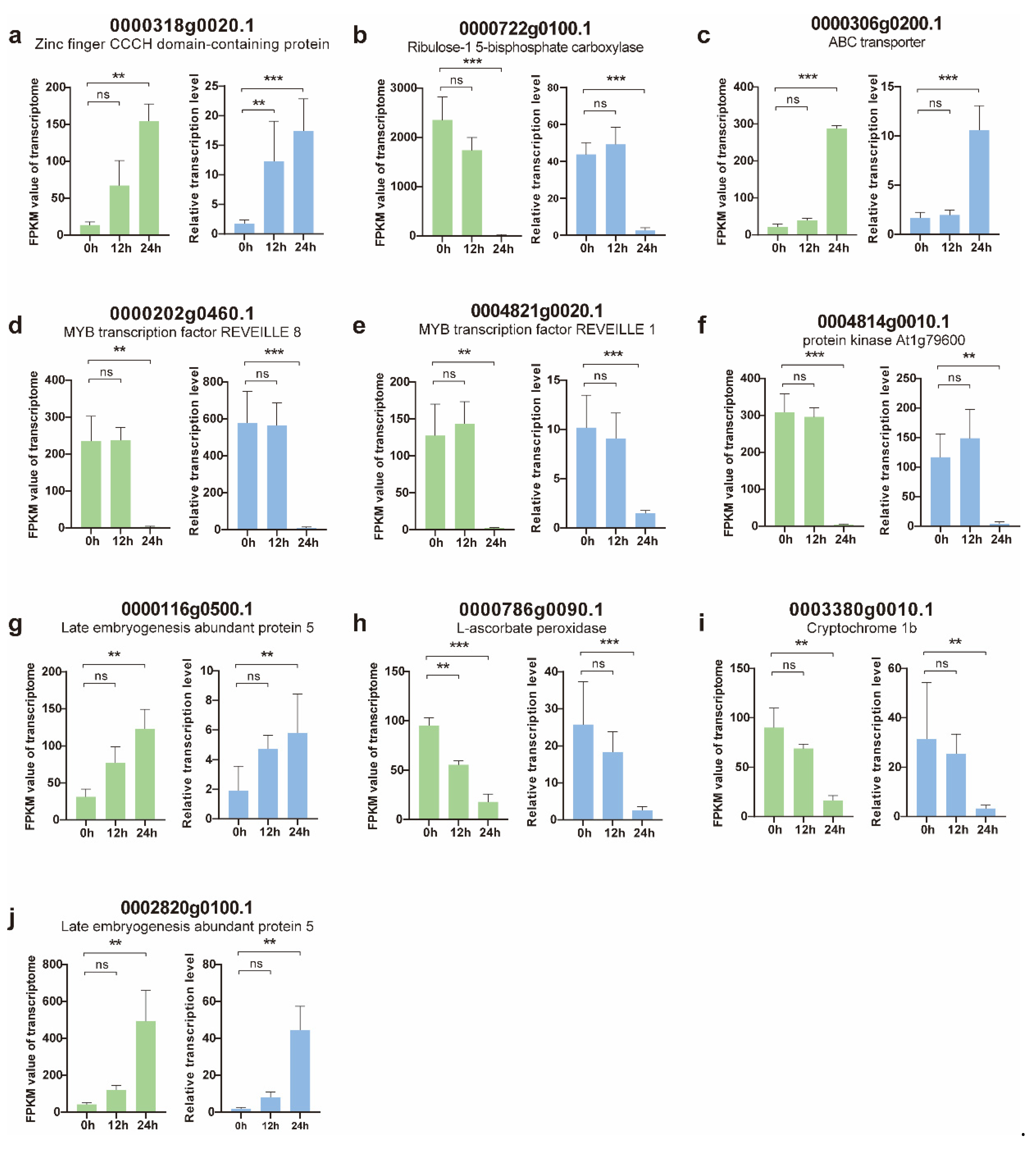 Genes 14 01640 g005