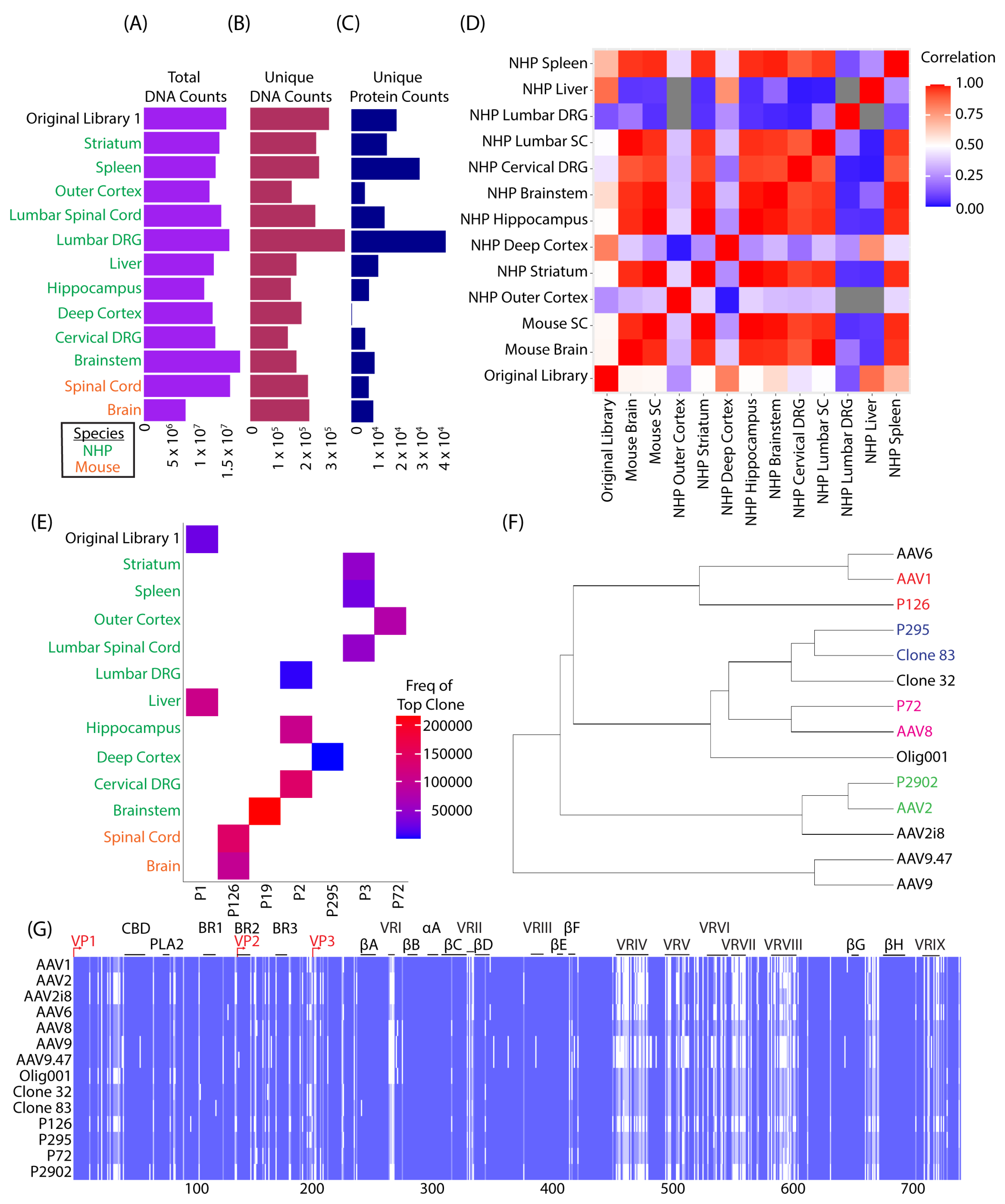 Genes 14 01660 g002 Genes 14 01660 g002