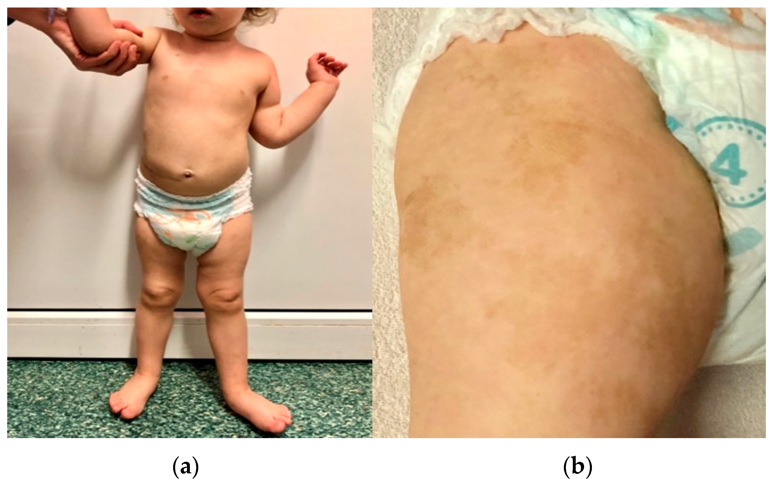 Genes 14 01670 g002 Genes 14 01670 g002