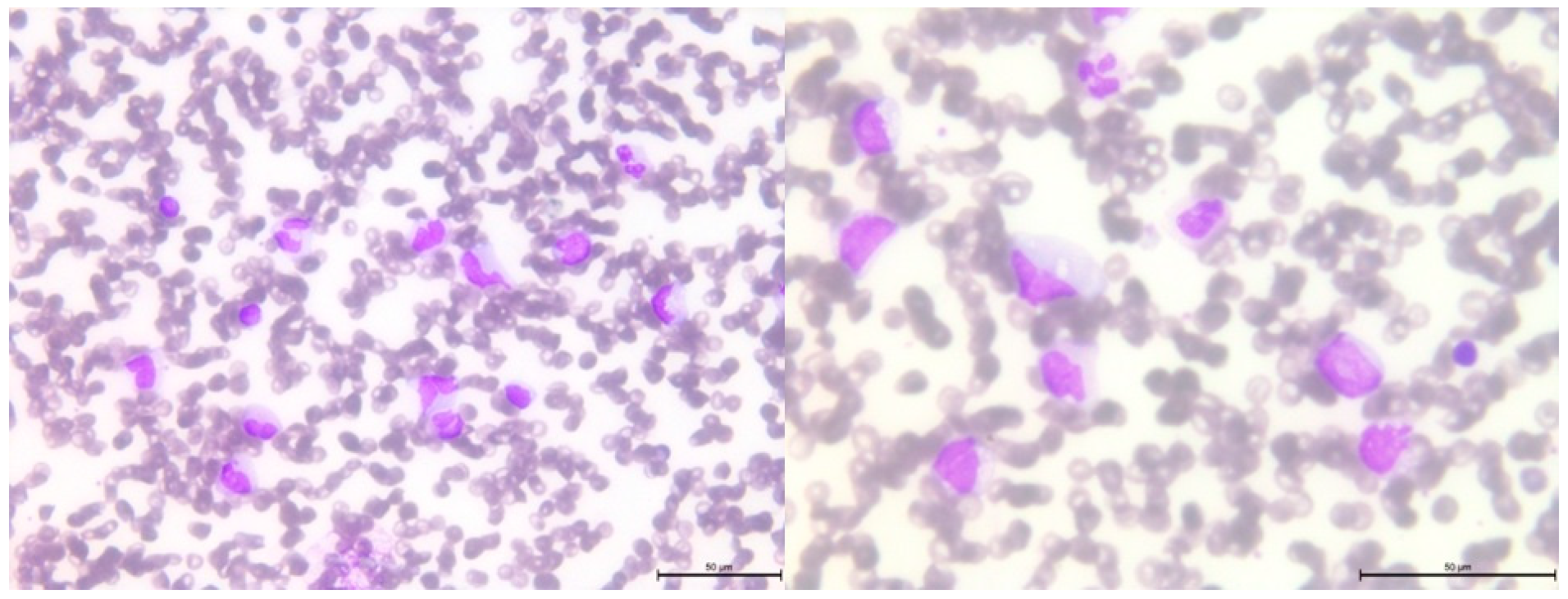 Genes 14 01670 g005 Genes 14 01670 g005