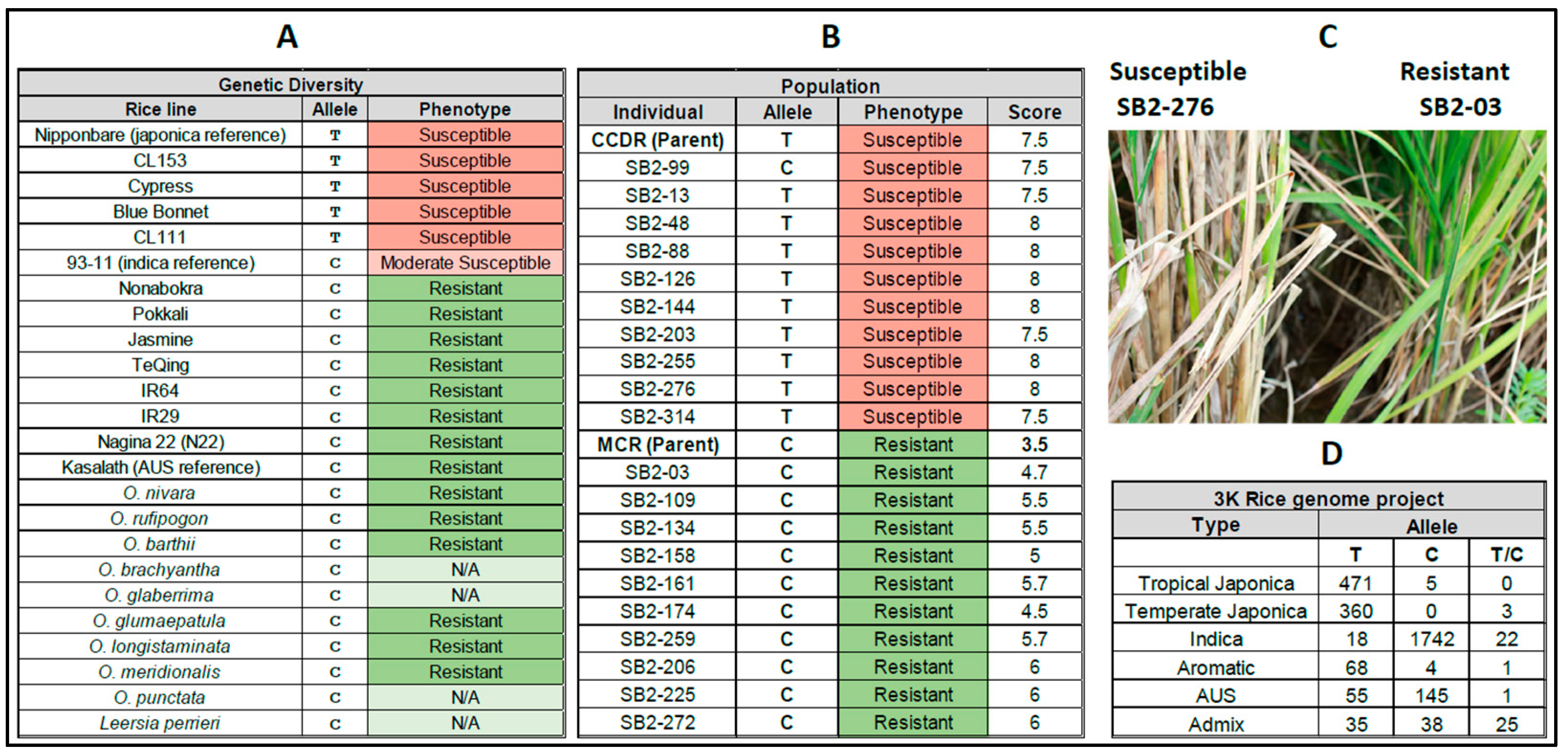 Genes 14 01673 g003