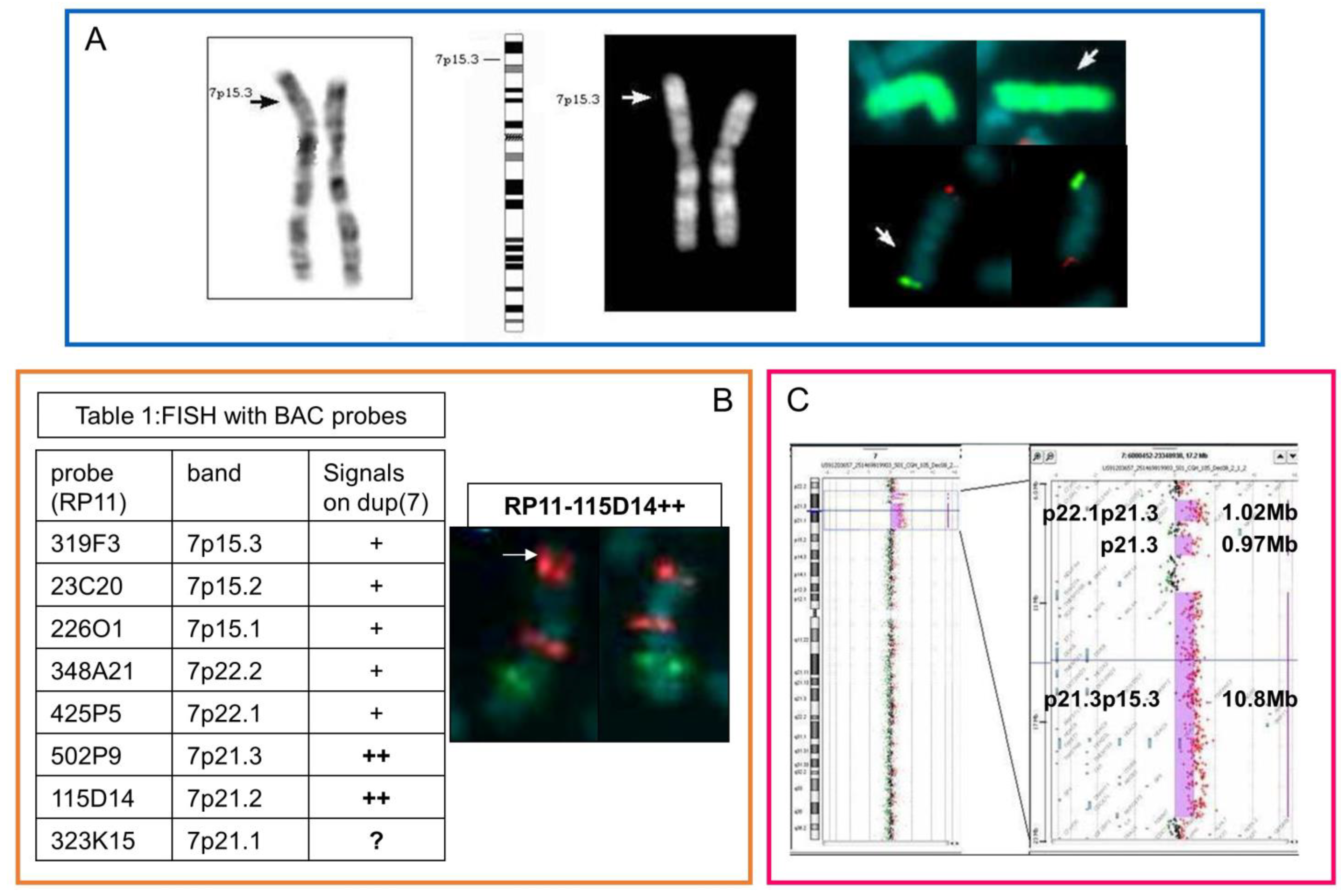 Genes 14 01700 g001