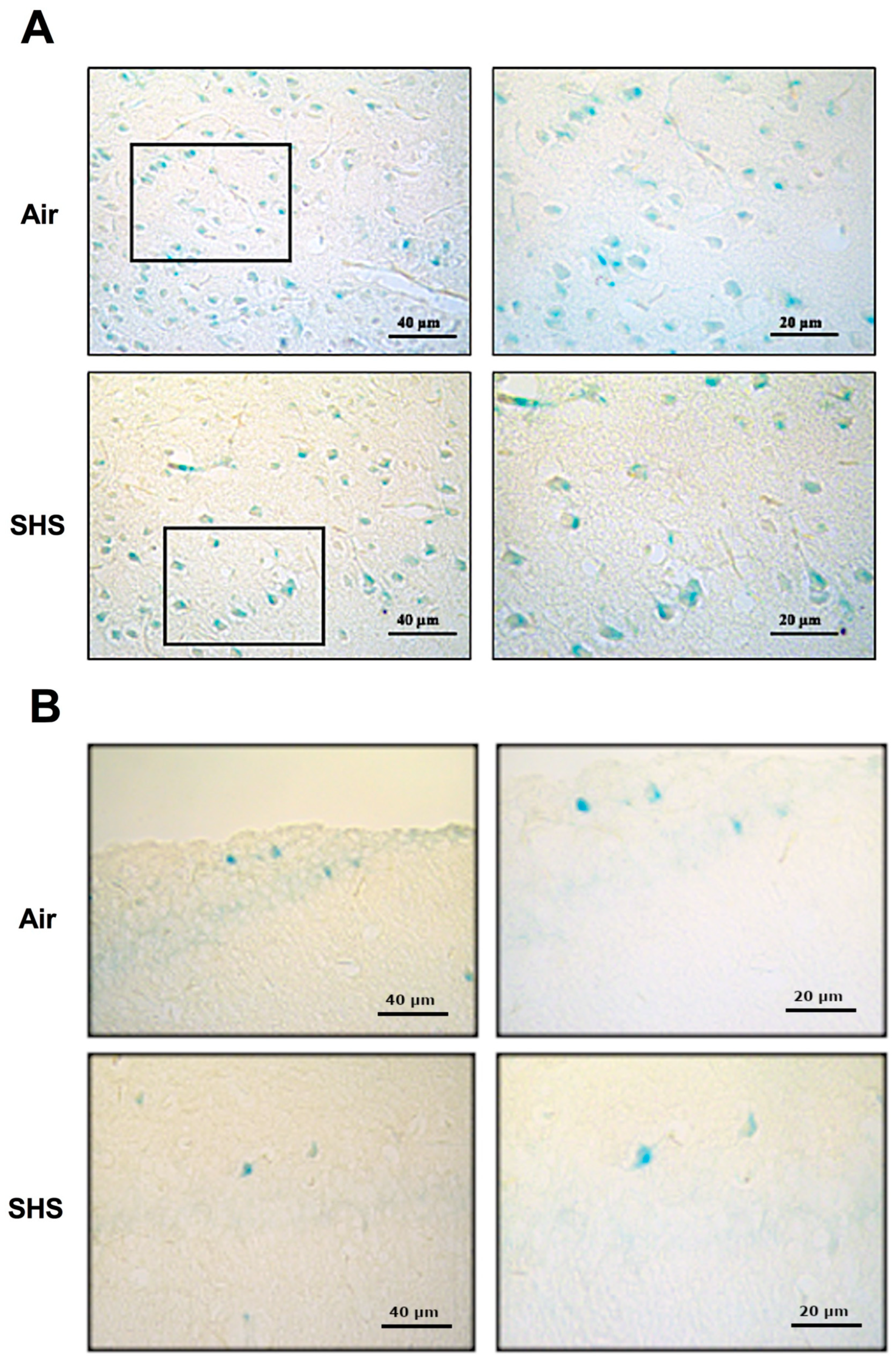 Genes 14 01702 g004