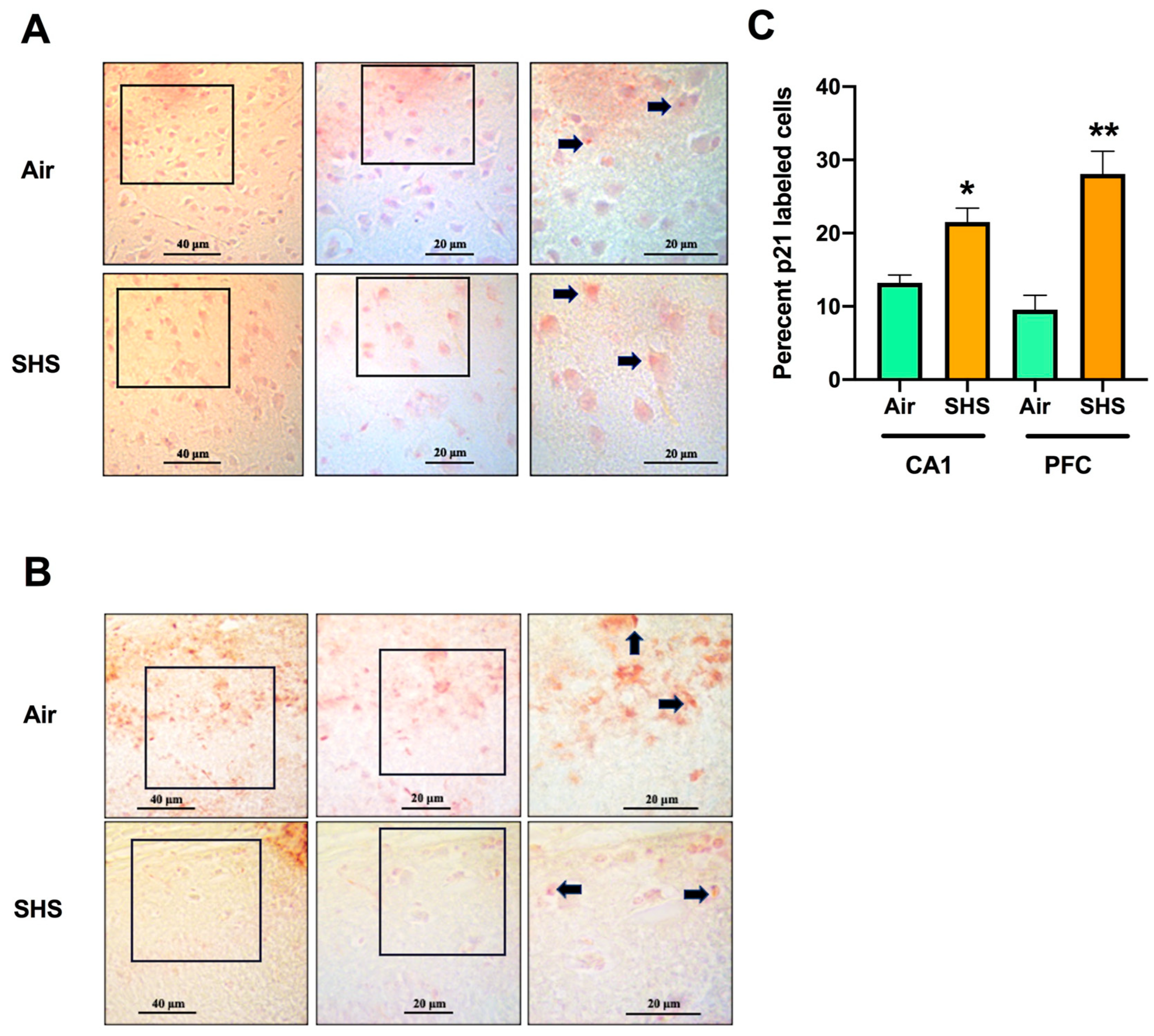 Genes 14 01702 g005