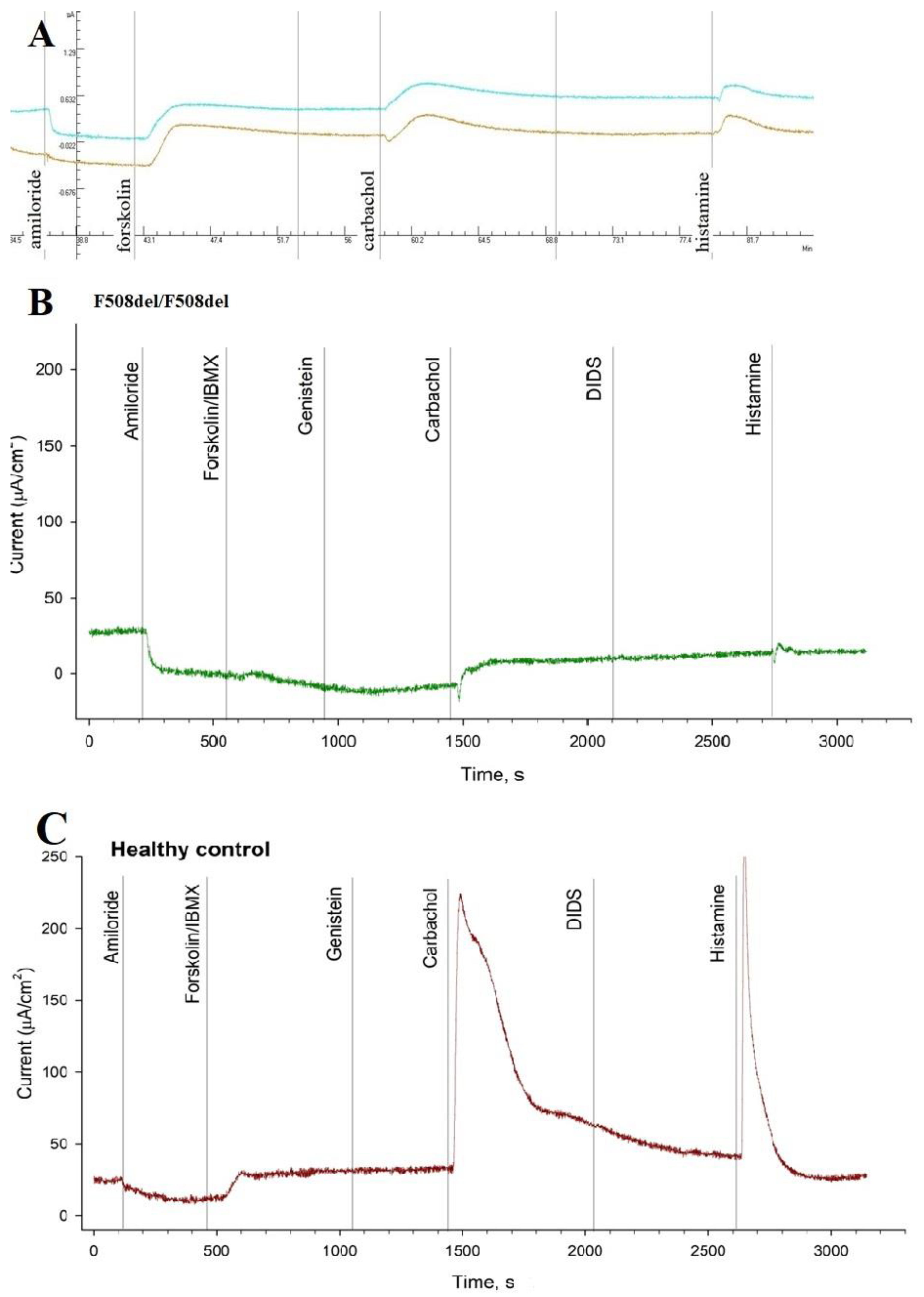 Genes 14 01705 g002