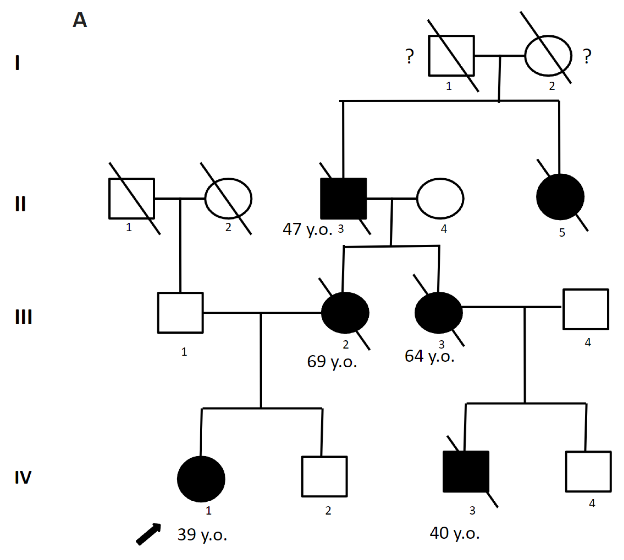 Genes 14 01715 g001a