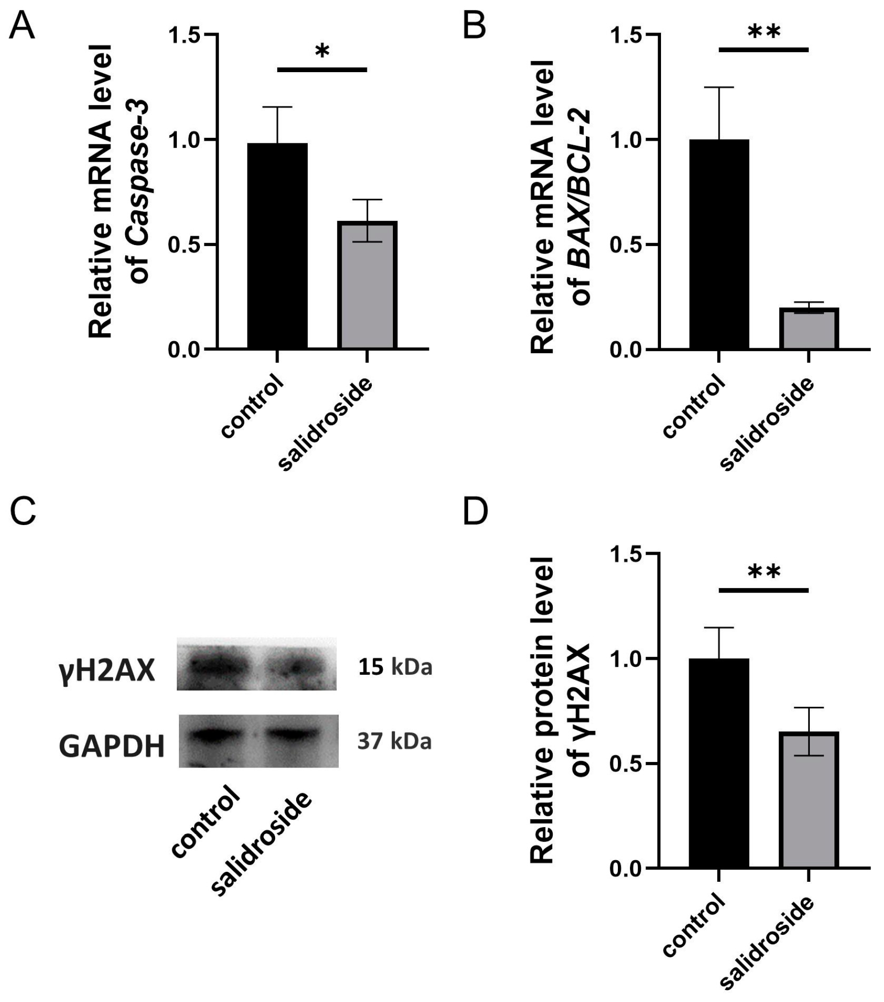 Genes 14 01729 g005 Genes 14 01729 g005