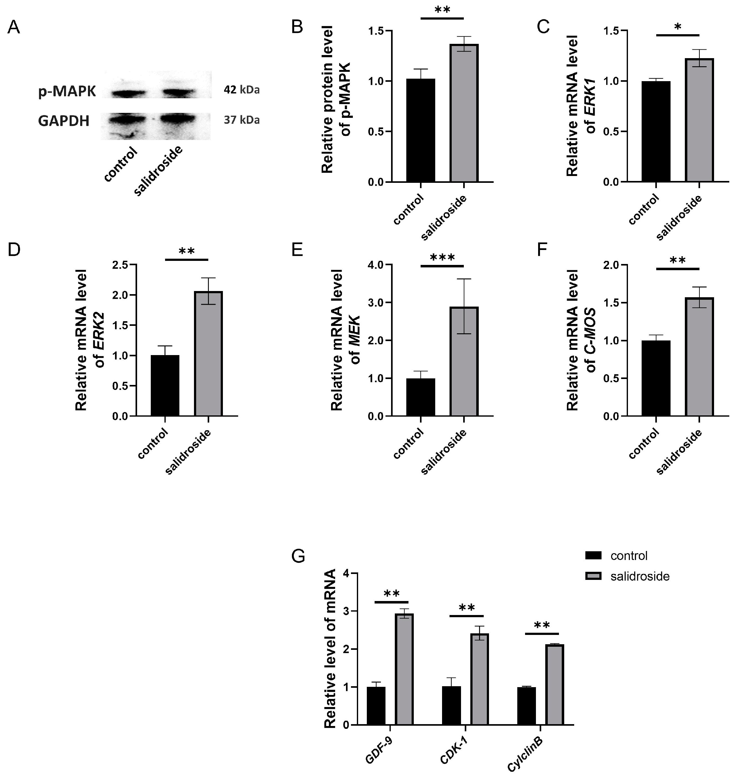 Genes 14 01729 g006 Genes 14 01729 g006