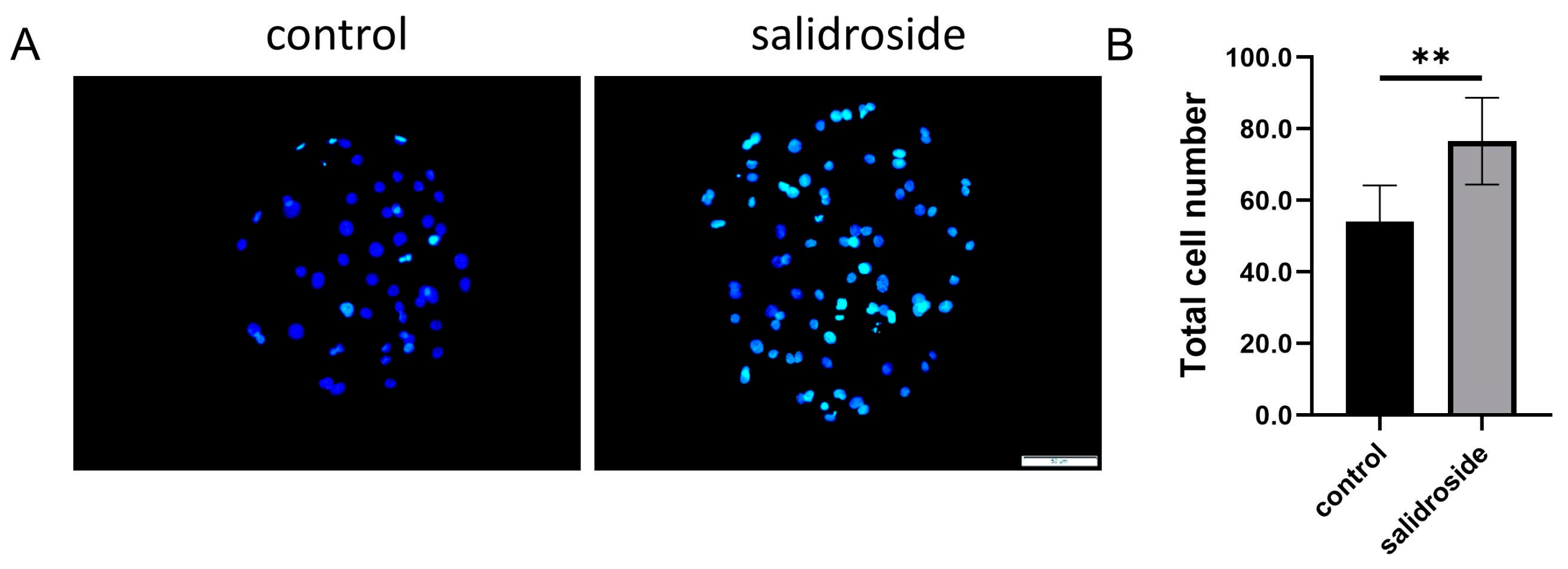 Genes 14 01729 g007 Genes 14 01729 g007