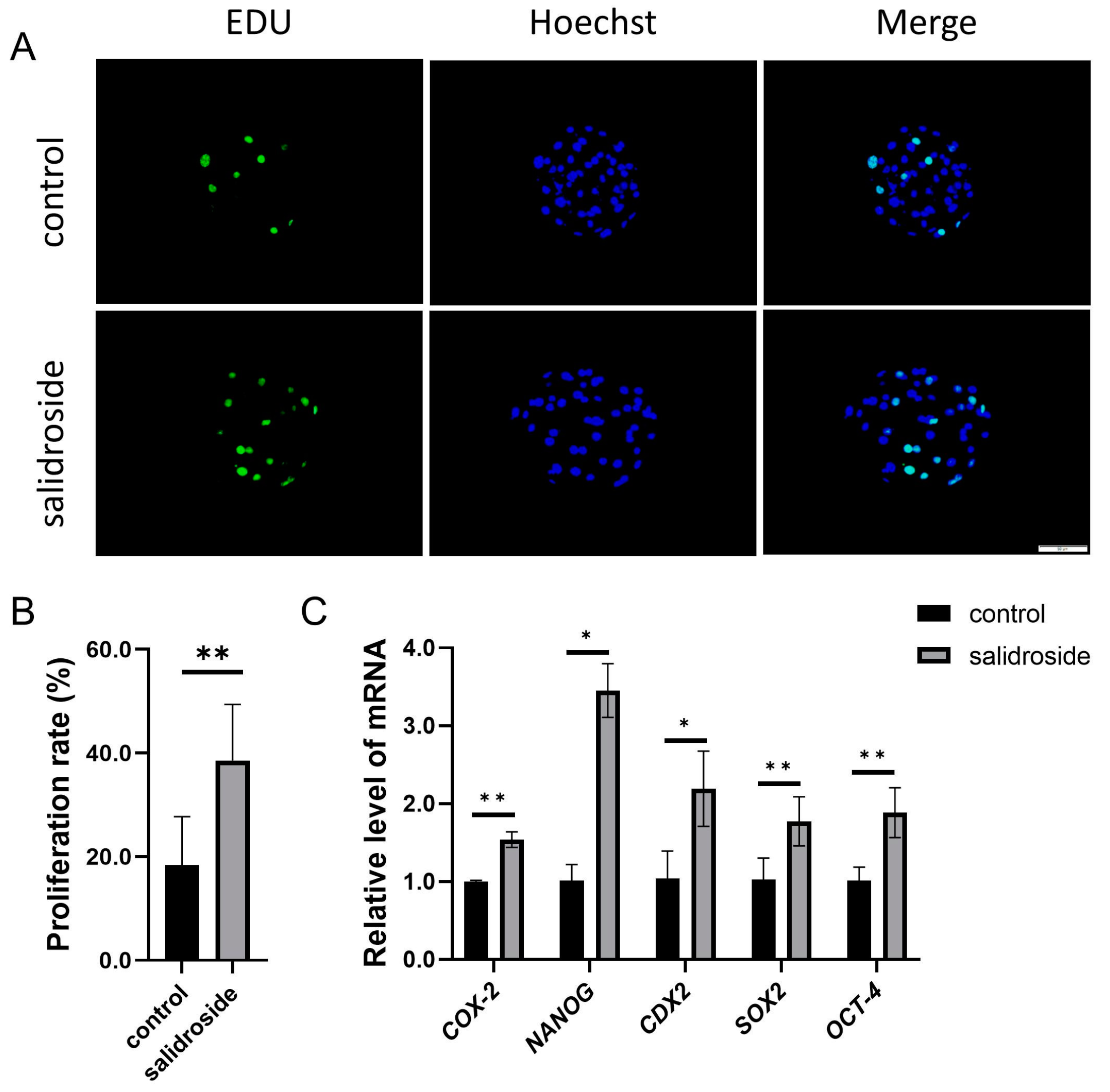 Genes 14 01729 g008 Genes 14 01729 g008