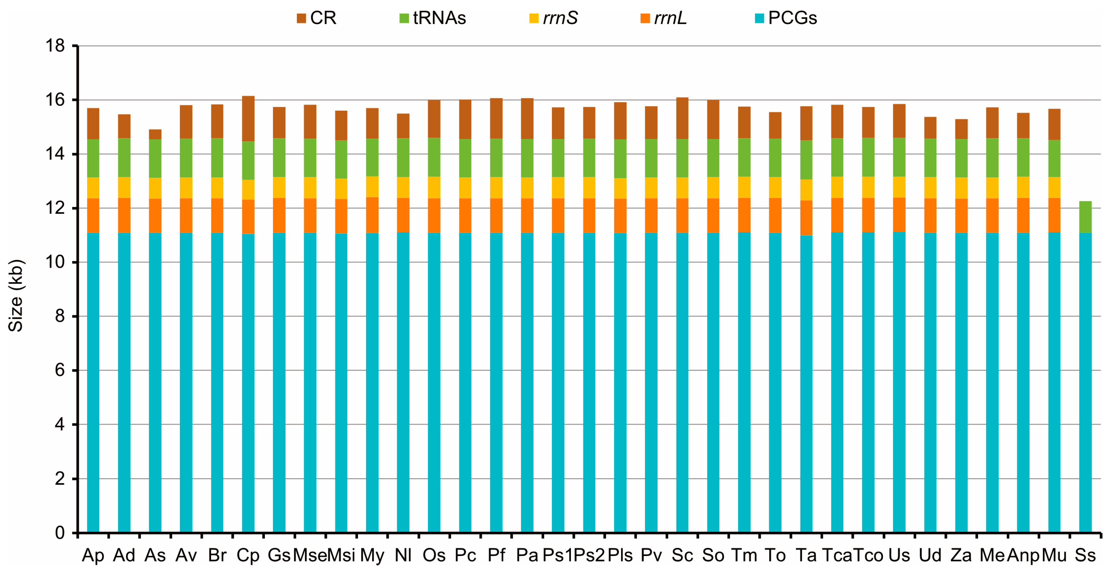Genes 14 01738 g001