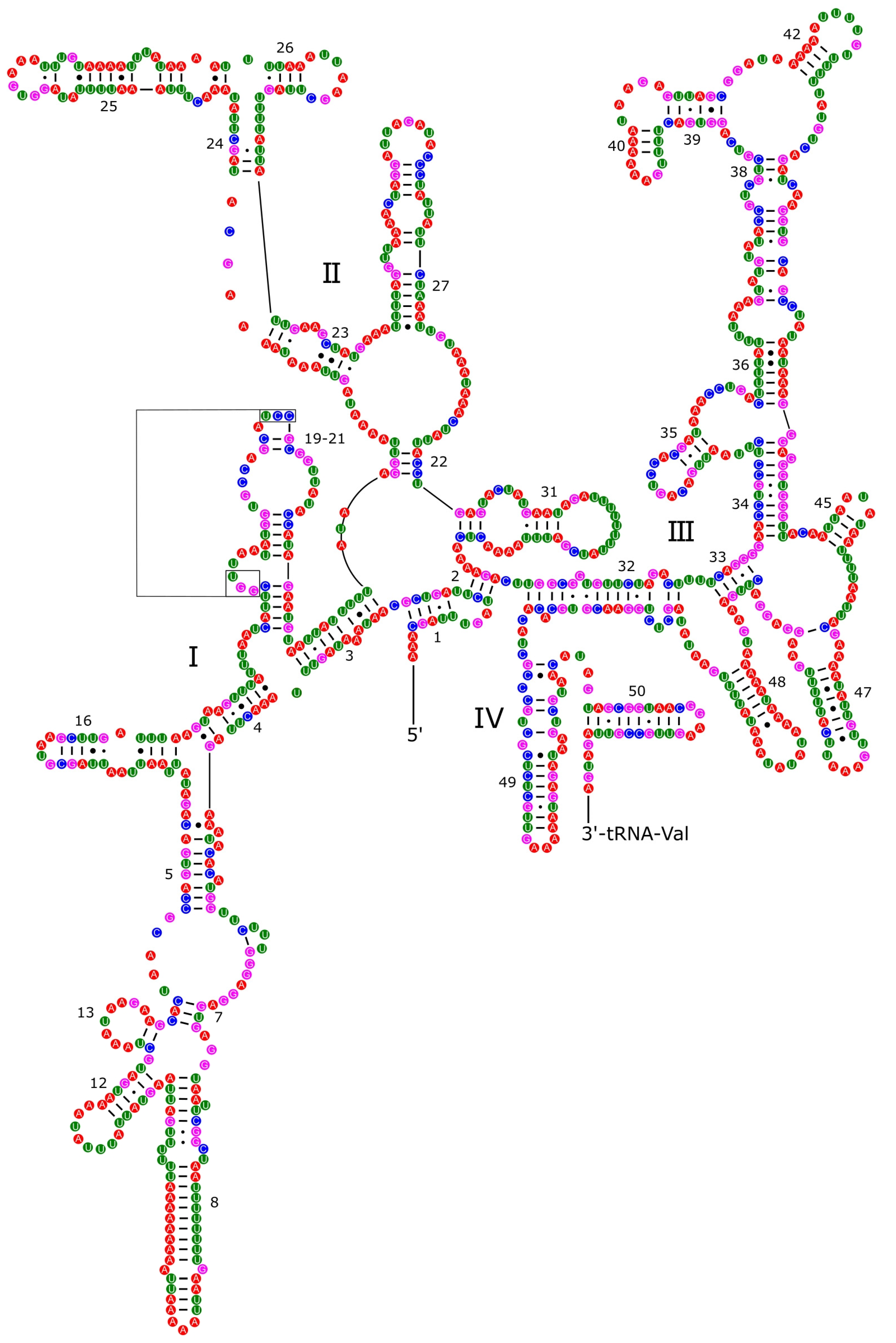 Genes 14 01769 g006 Genes 14 01769 g006
