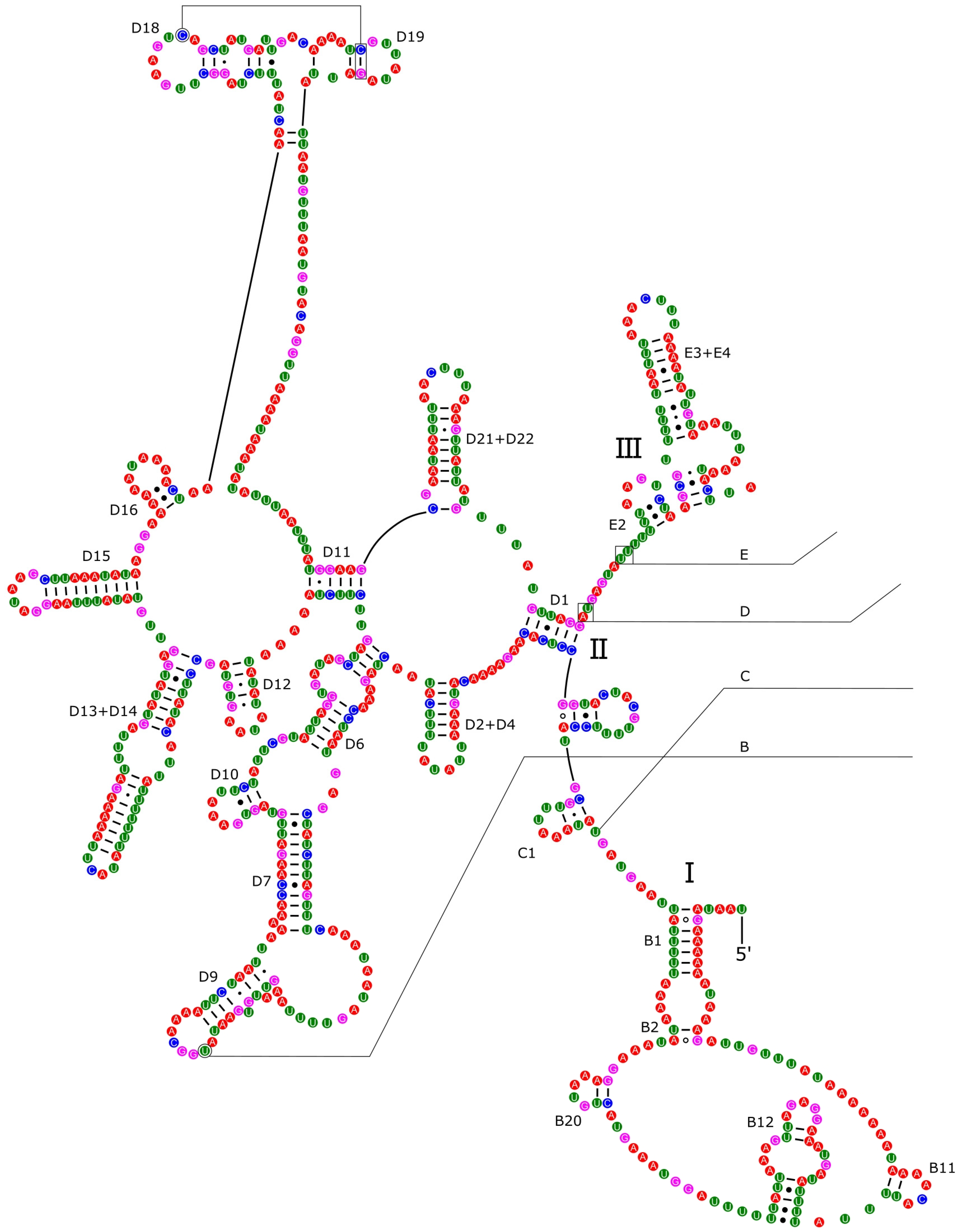Genes 14 01769 g007 Genes 14 01769 g007