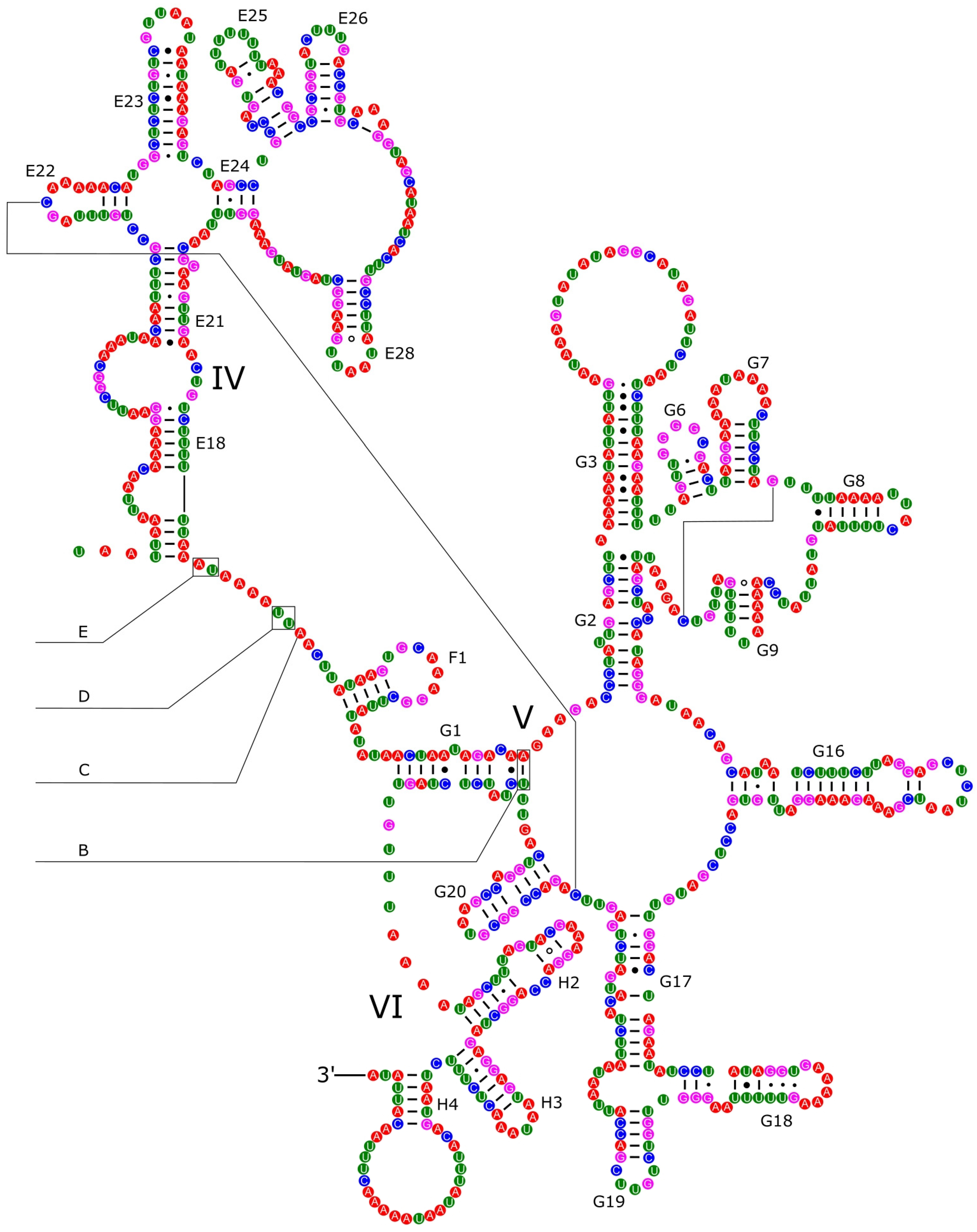Genes 14 01769 g008 Genes 14 01769 g008