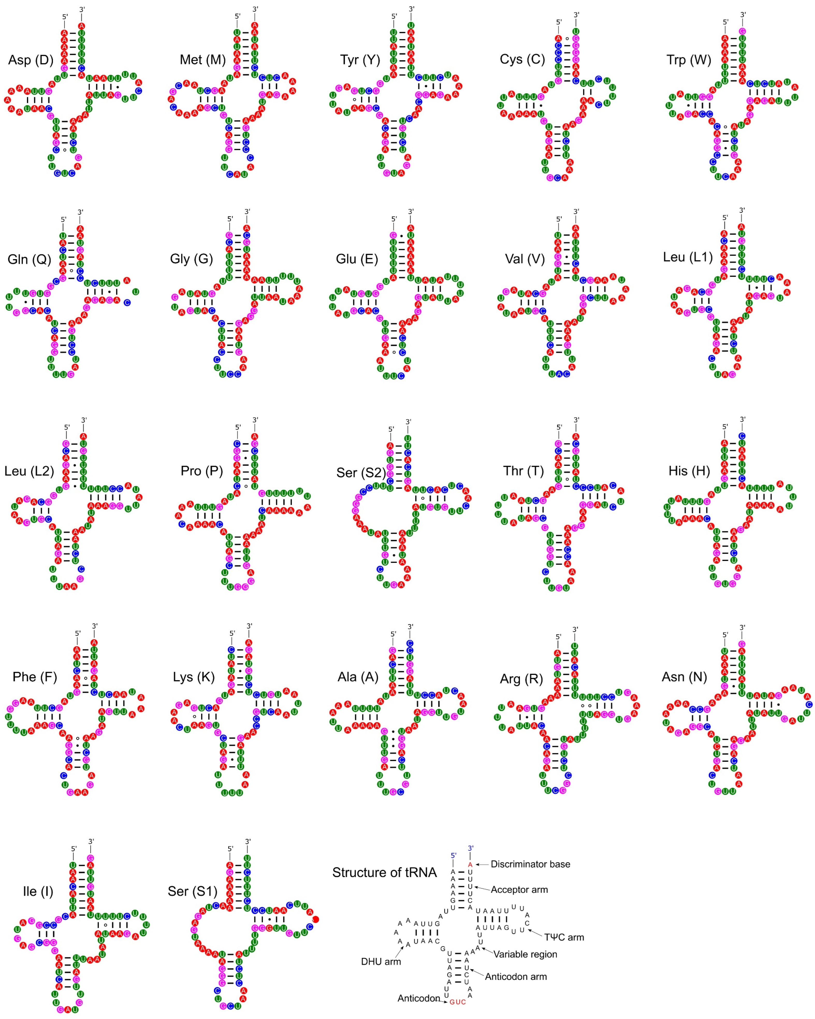 Genes 14 01769 g009 Genes 14 01769 g009