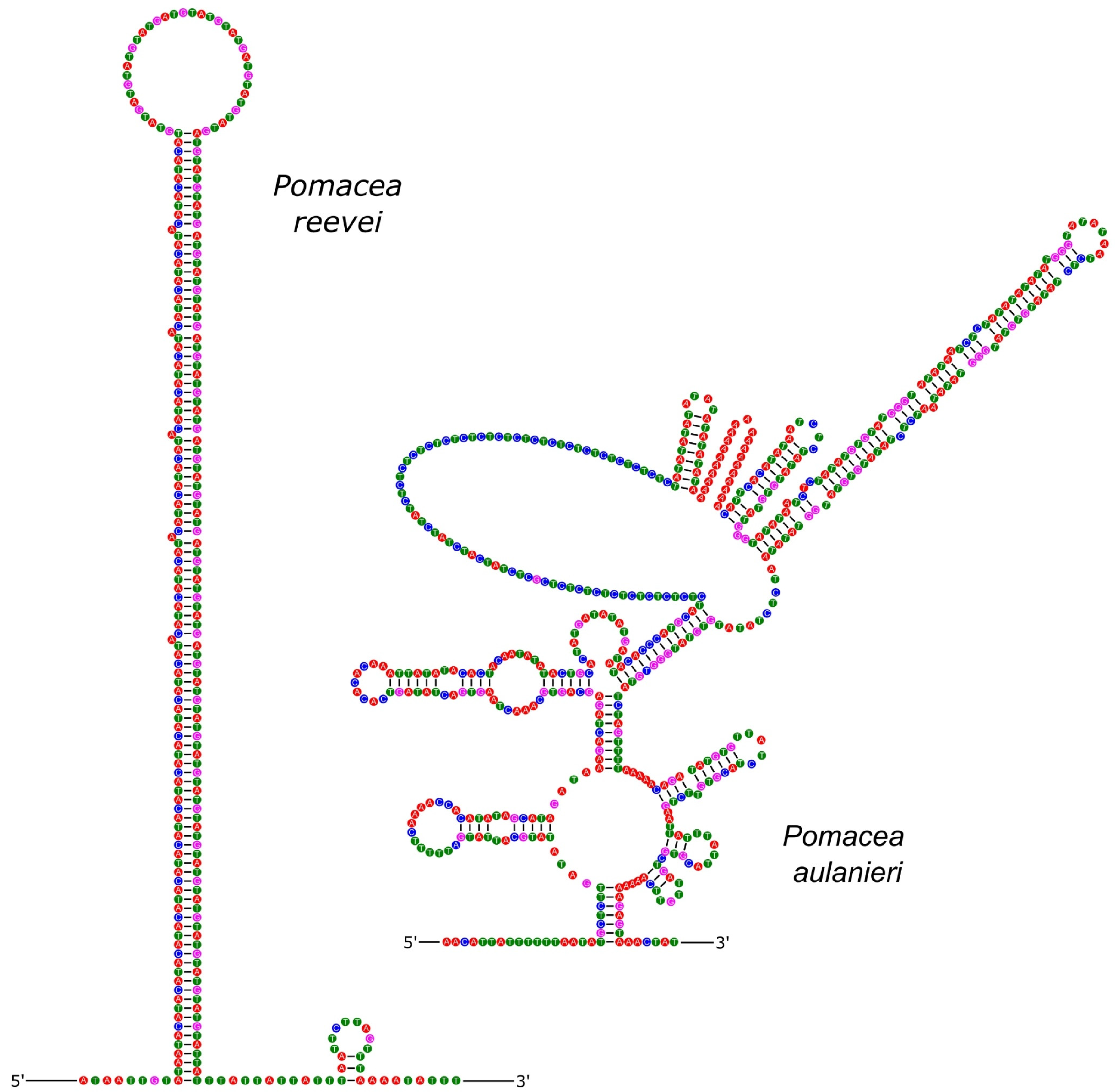 Genes 14 01769 g010 Genes 14 01769 g010