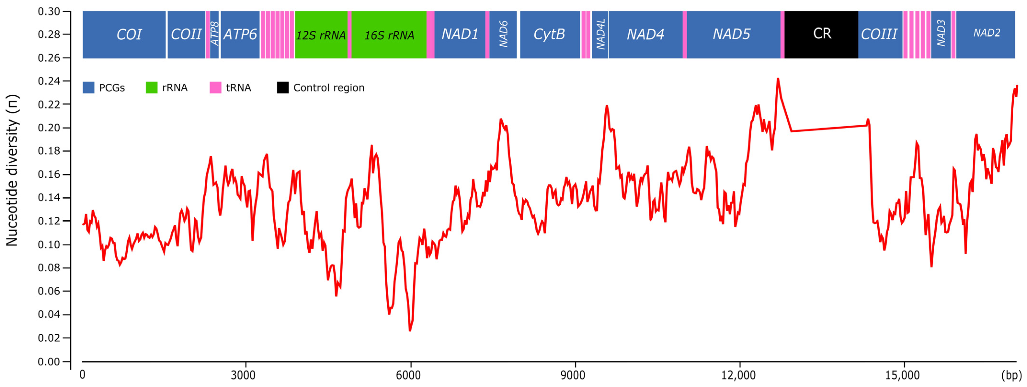 Genes 14 01769 g011 Genes 14 01769 g011