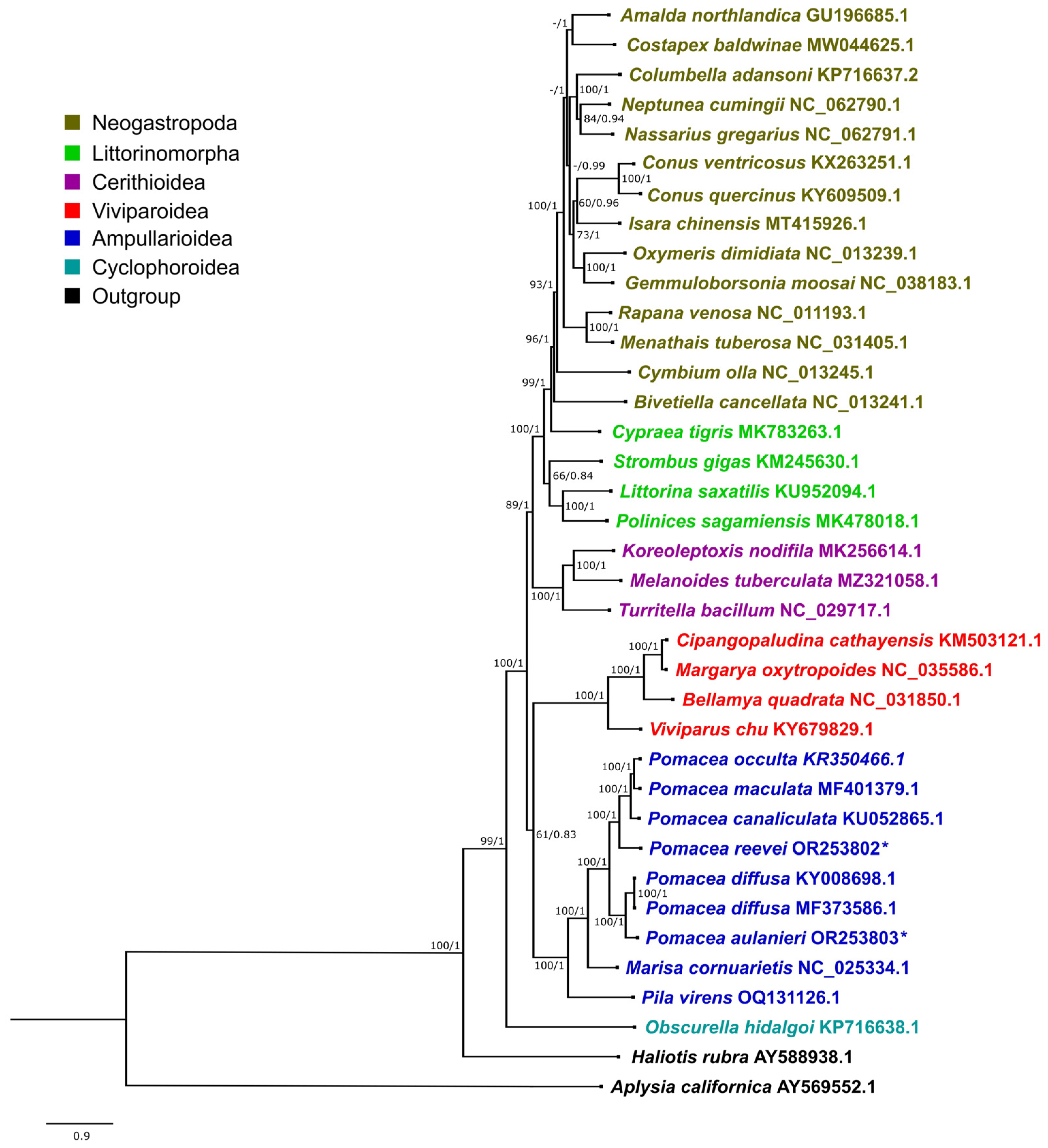 Genes 14 01769 g012 Genes 14 01769 g012