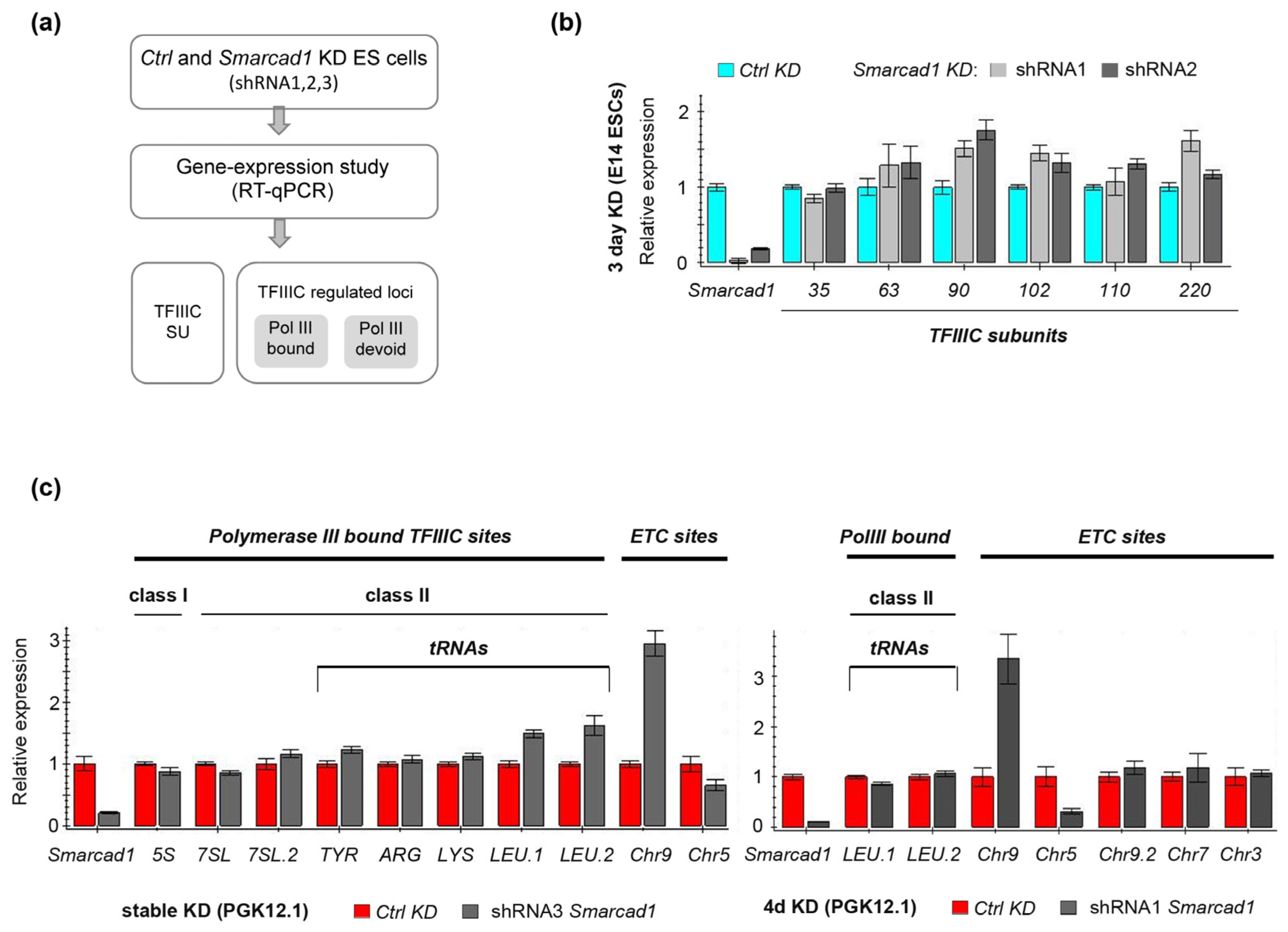 Genes 14 01793 g006